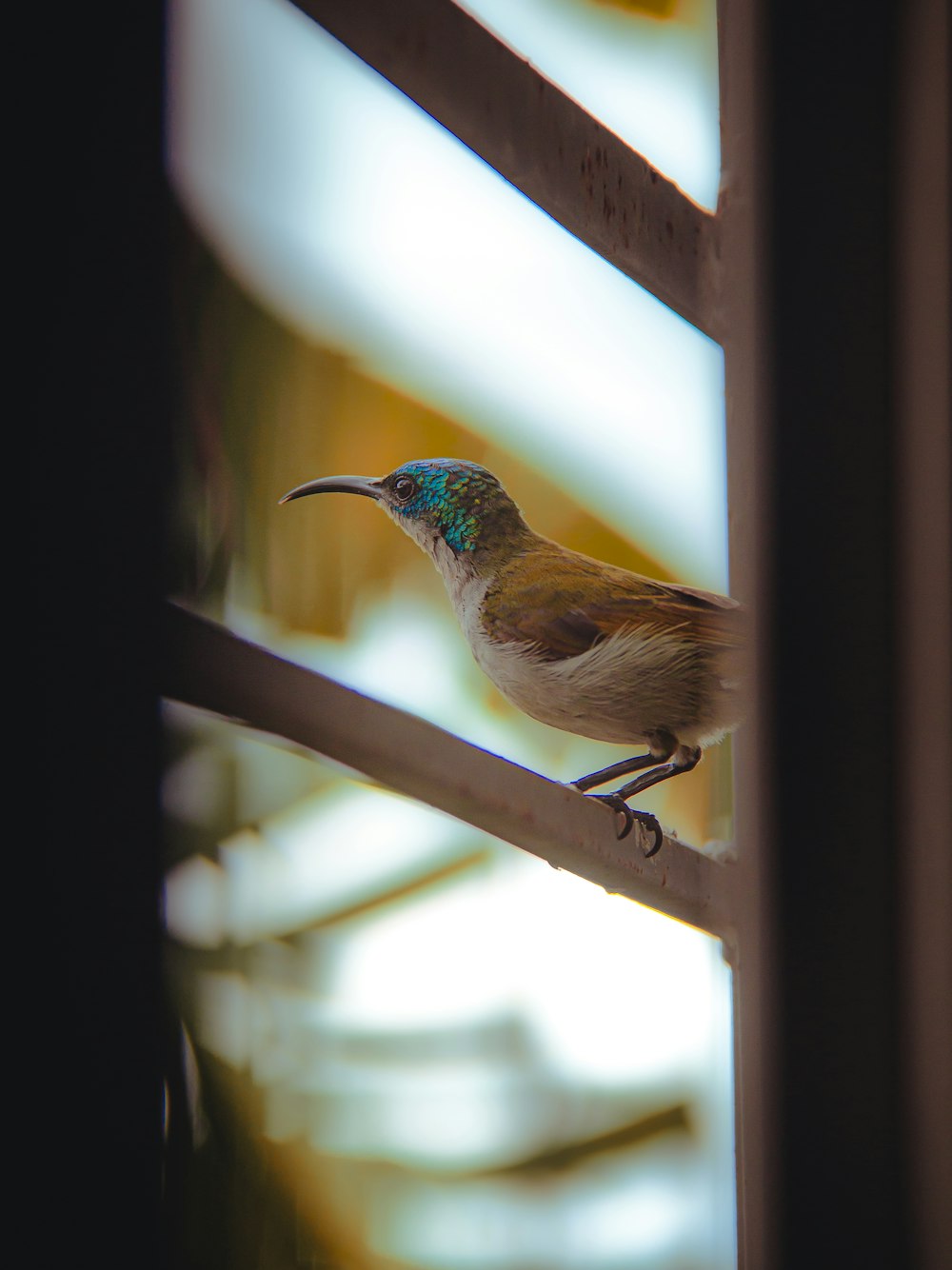 a small bird perched on a window sill