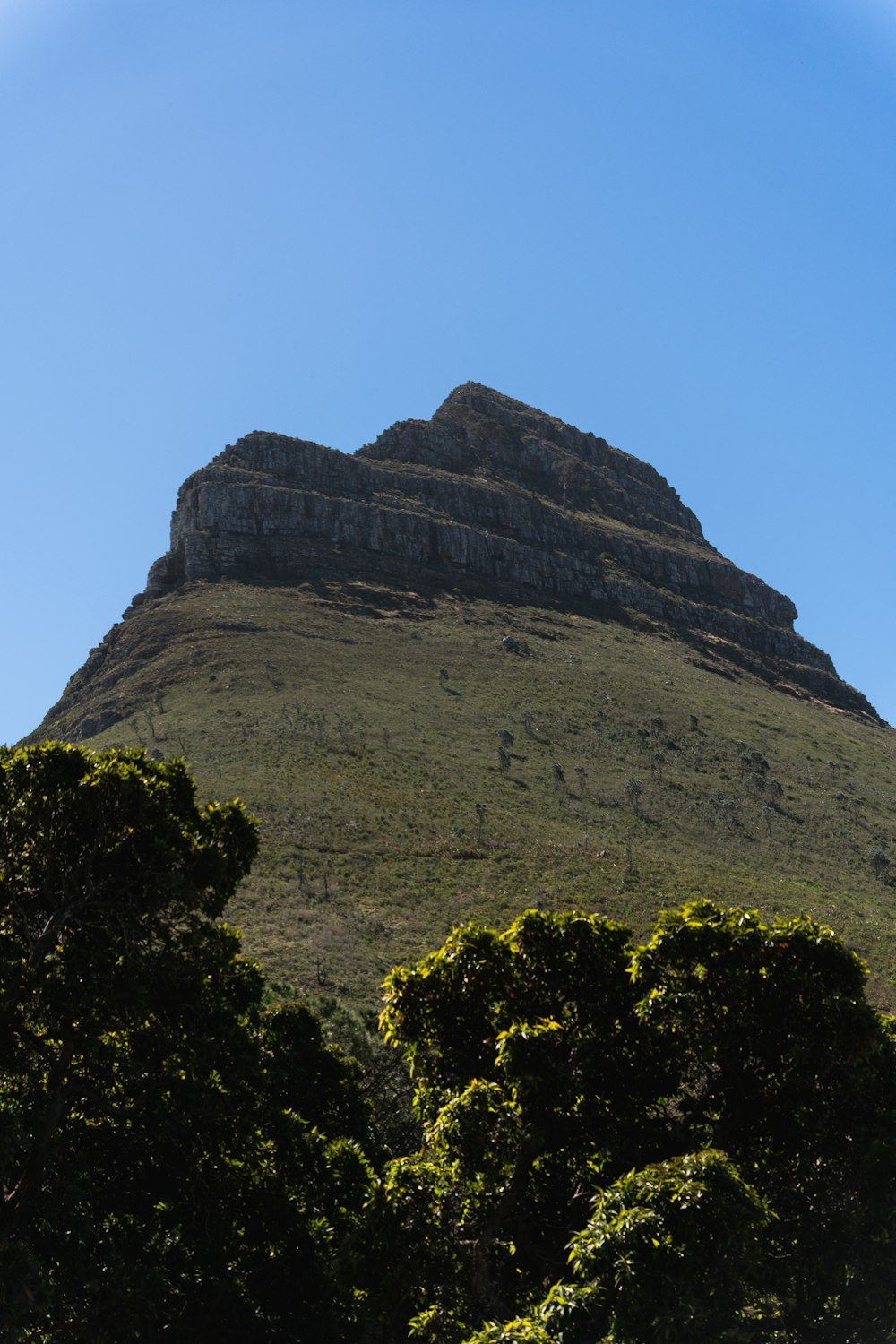 a tall mountain with trees in front of it