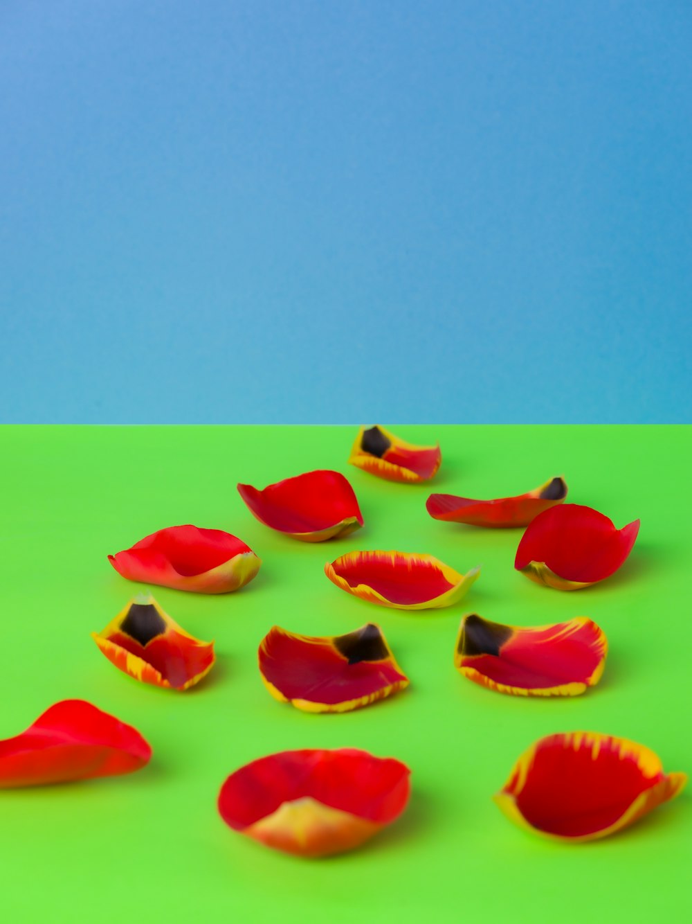a group of red and yellow petals on a green surface