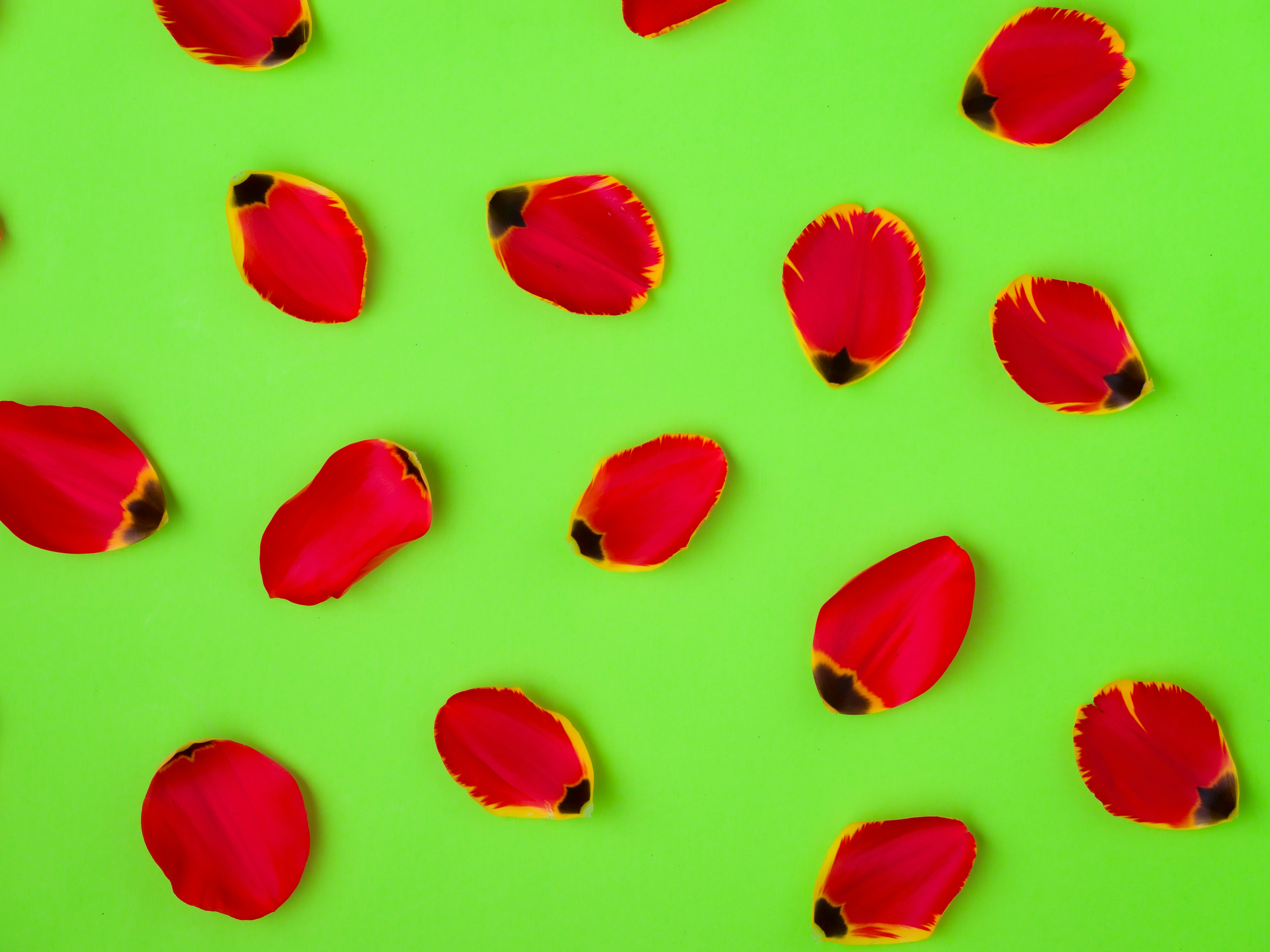 Photo by kierinsightarchives