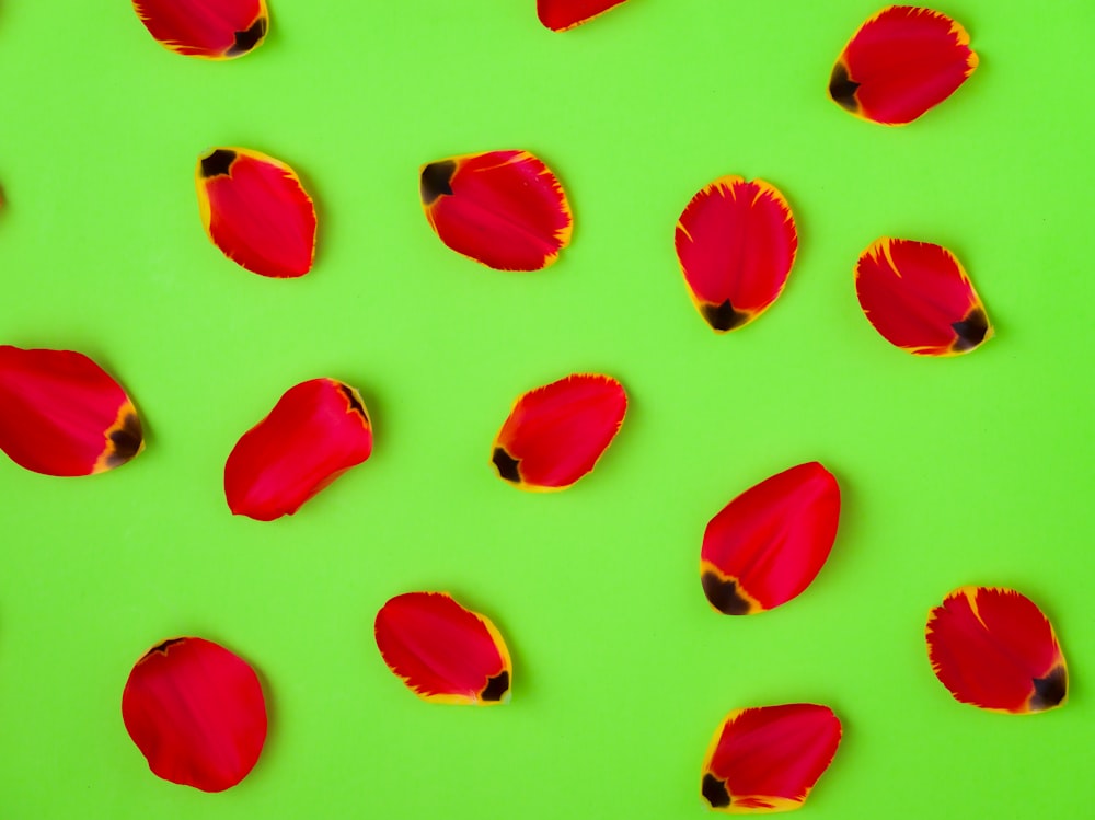 a group of red petals on a green surface