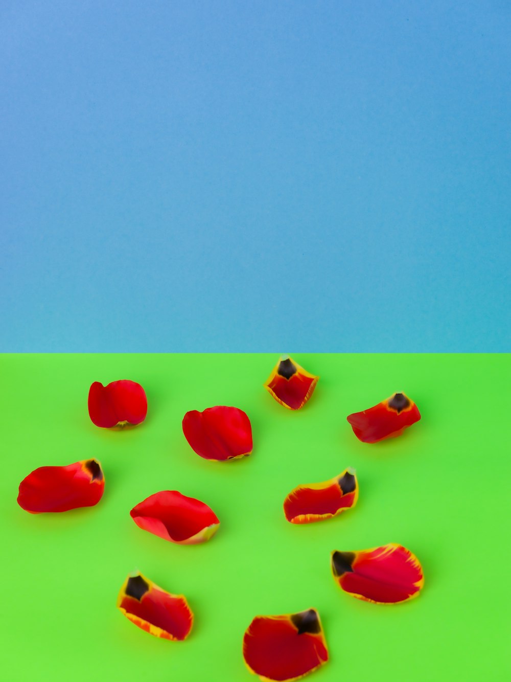 a group of red flowers on a green and blue surface