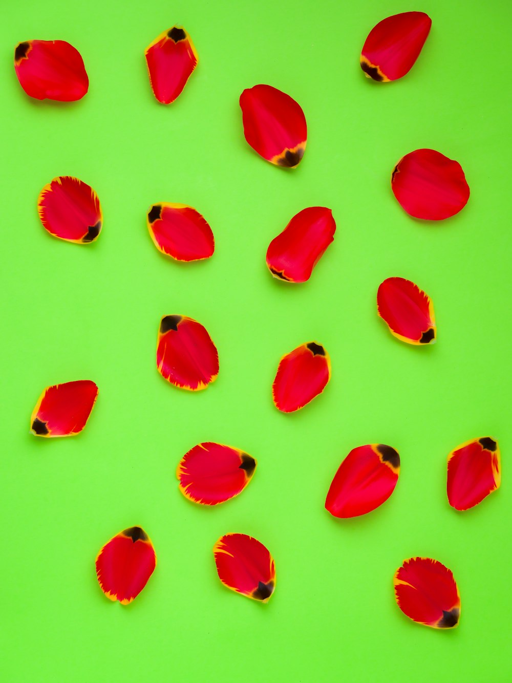 a group of red flowers sitting on top of a green surface