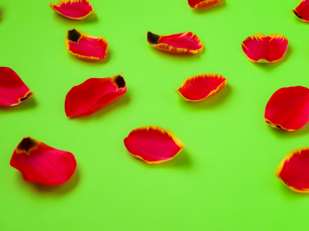 a group of red flowers on a green surface