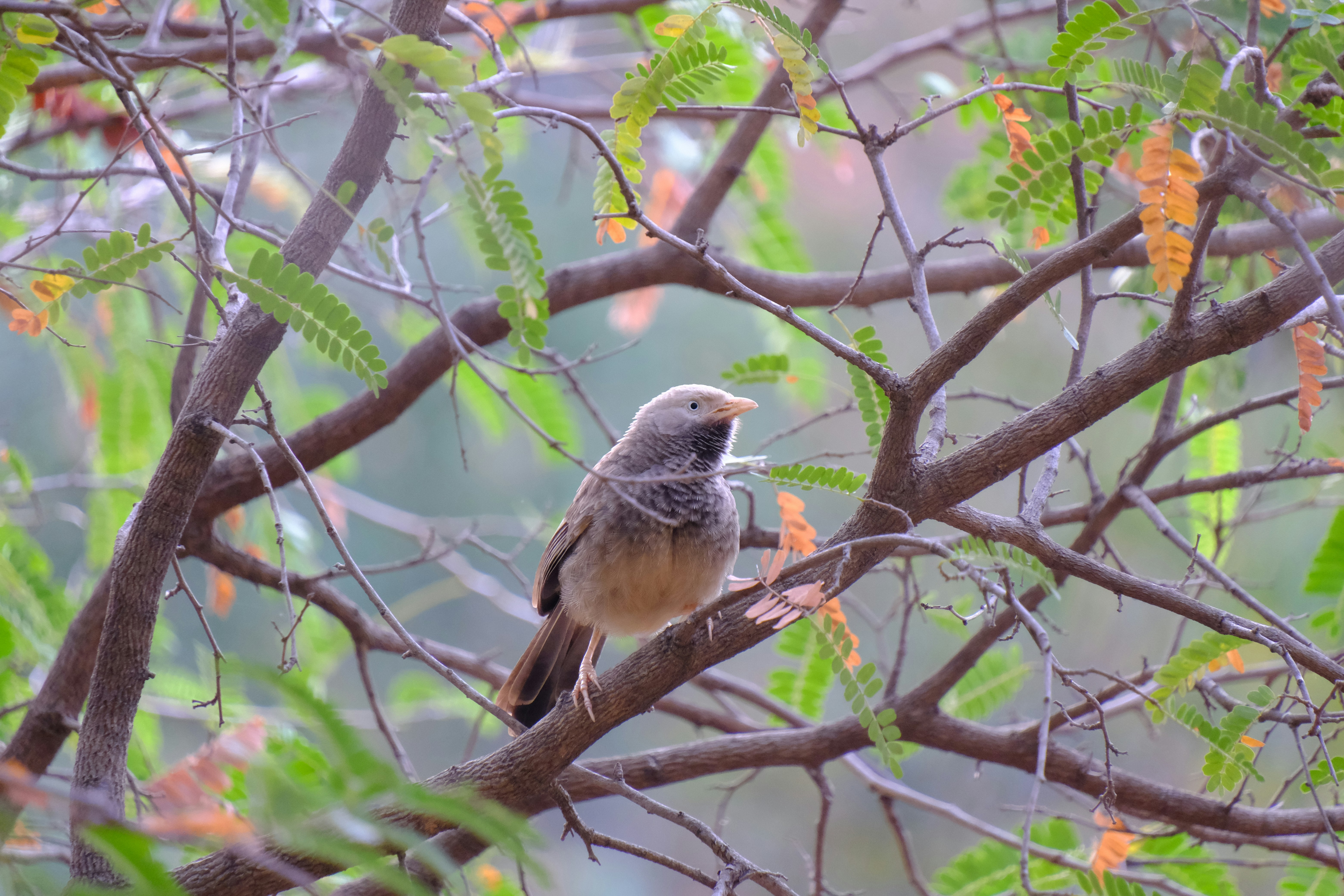 Photo by manicaptures