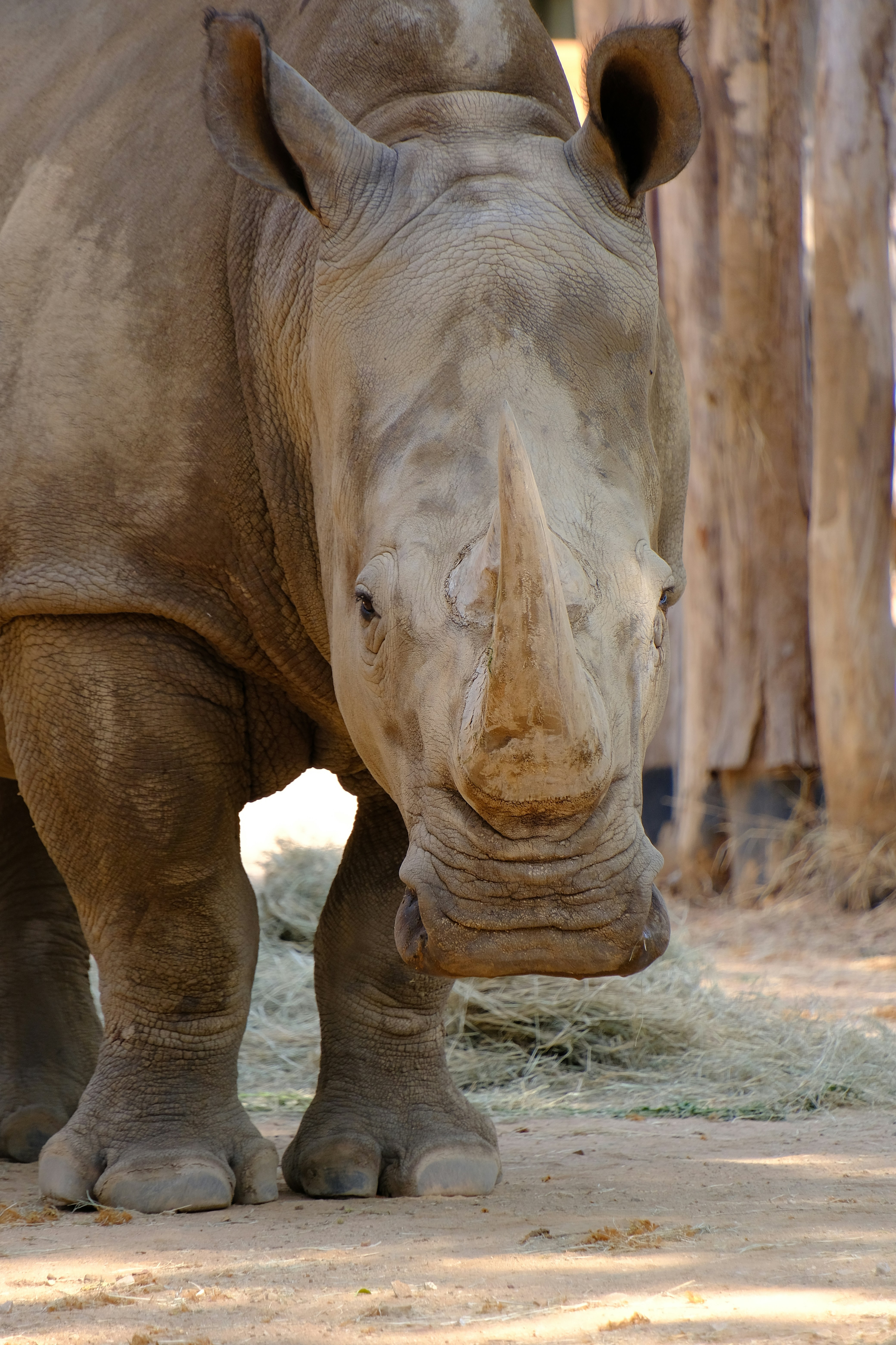 Photo by manicaptures