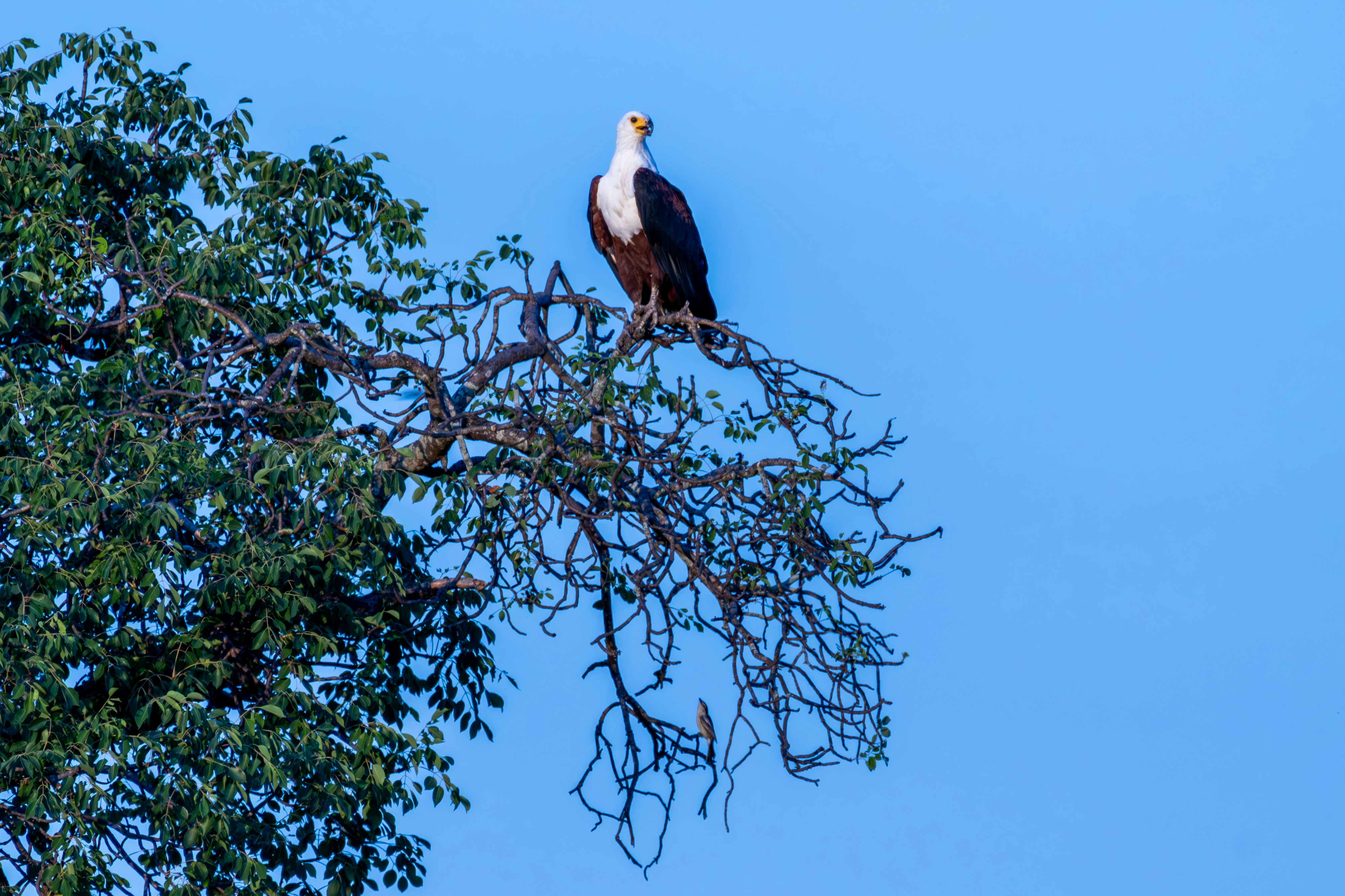 Photo by hendrikprinsza