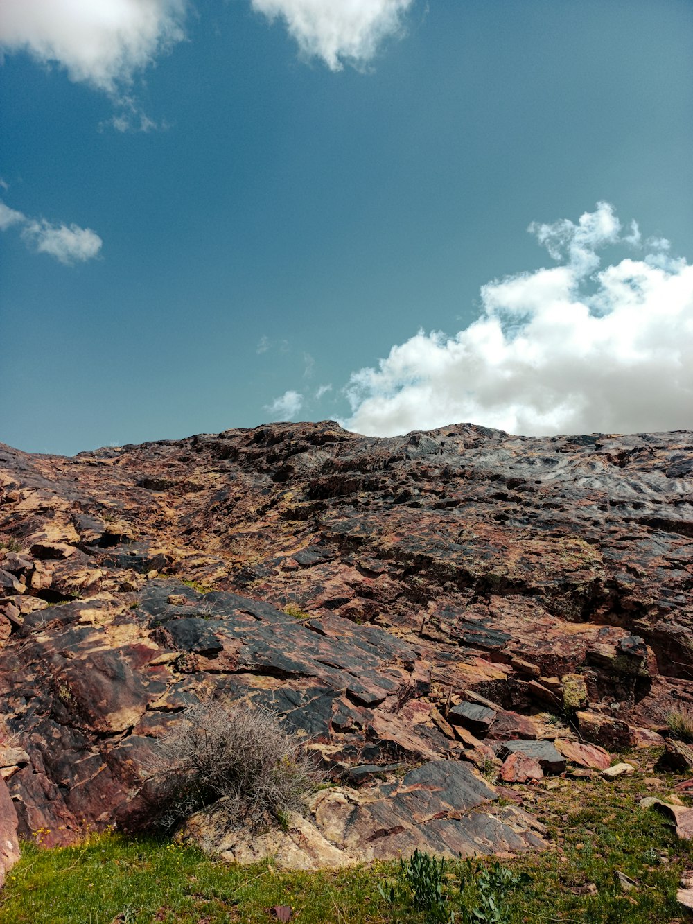 una pecora solitaria in piedi in cima a una collina rocciosa