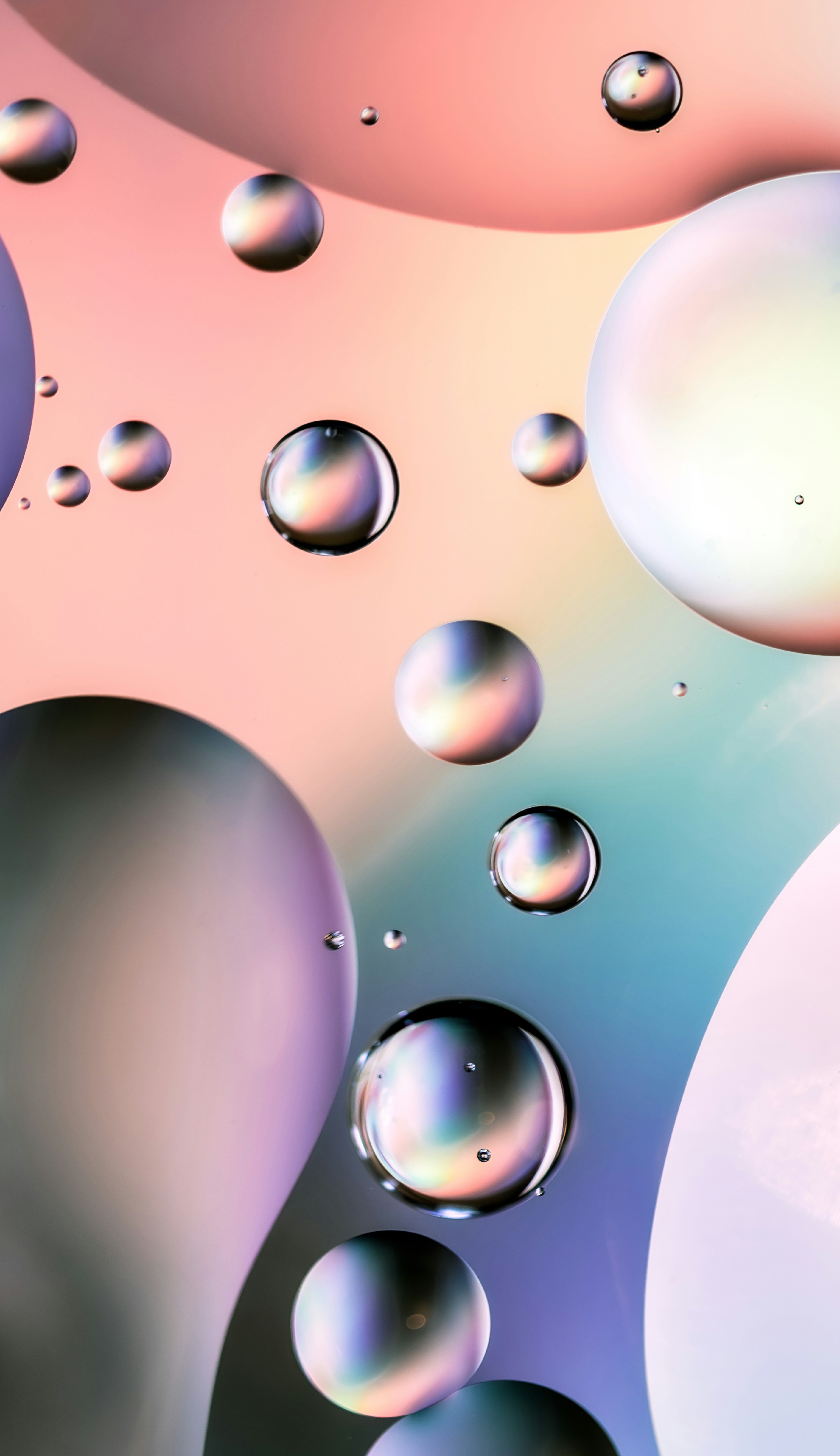 A bunch of bubbles floating in the air photo – Free Wallpapers Image on ...