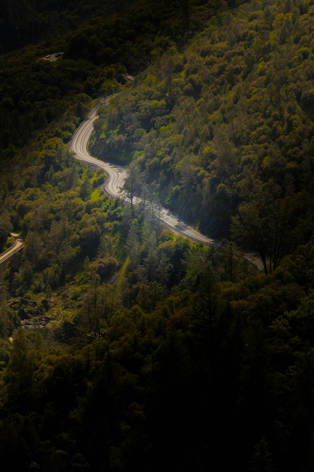 a winding road in the middle of a lush green forest