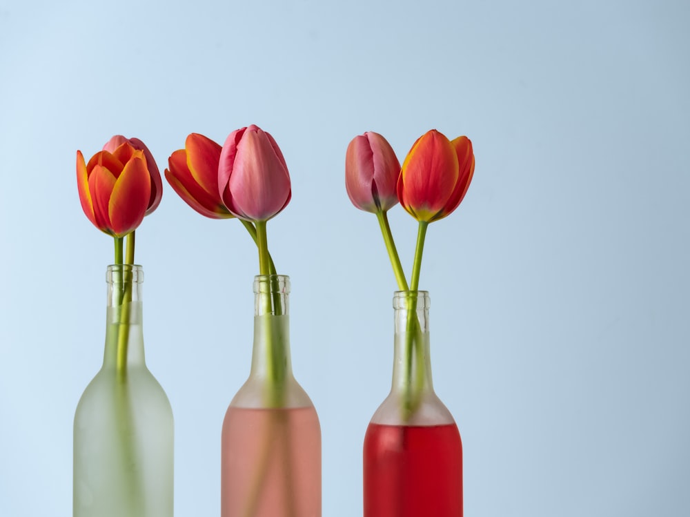 three different colored vases with flowers in them