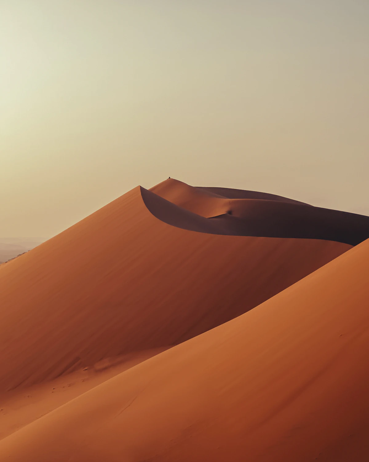 Sahara dunes at sunset with orange light