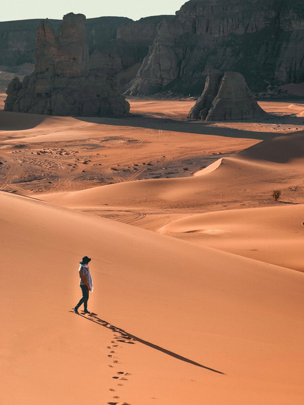 a person walking across a desert with mountains in the background