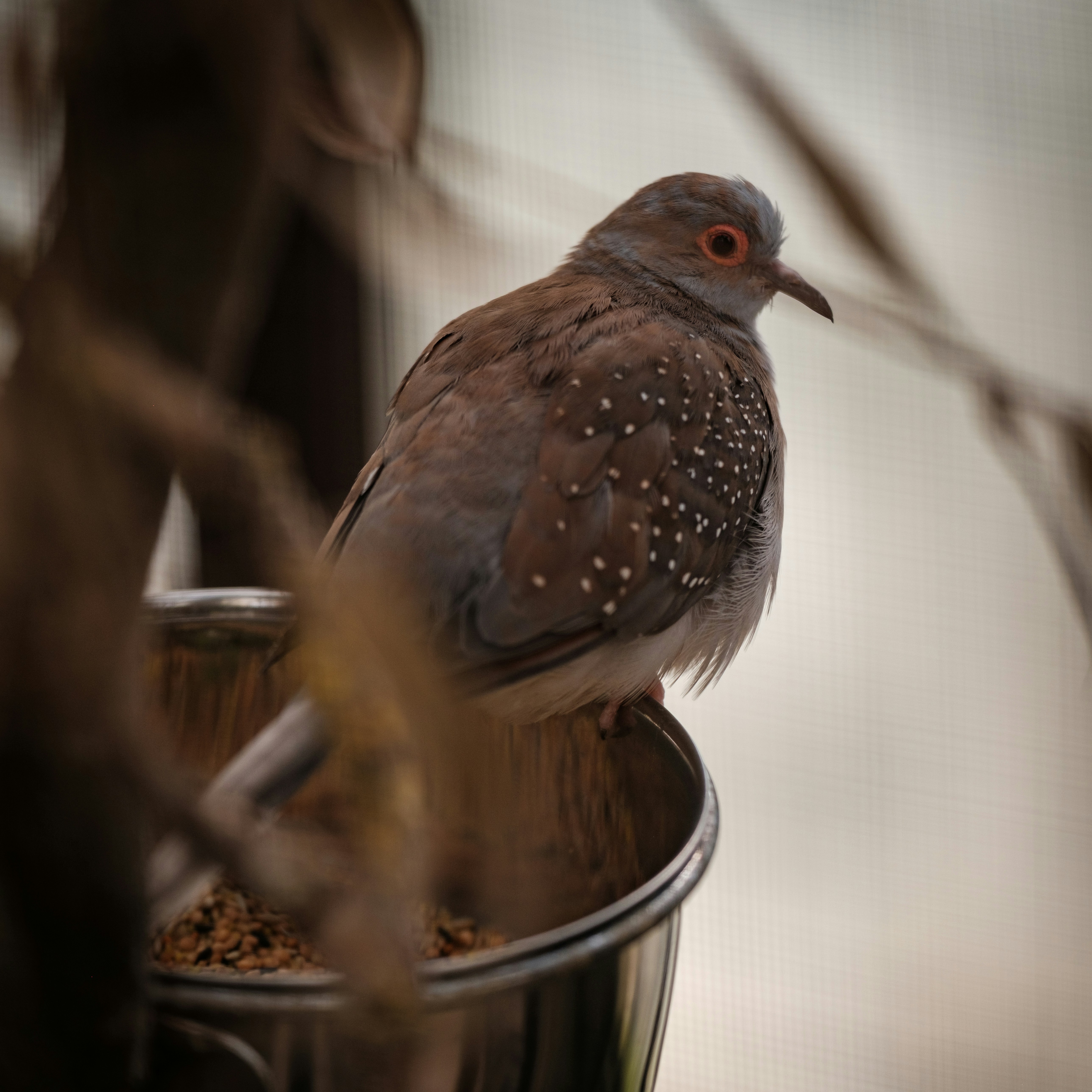 Photo by haberdoedas2