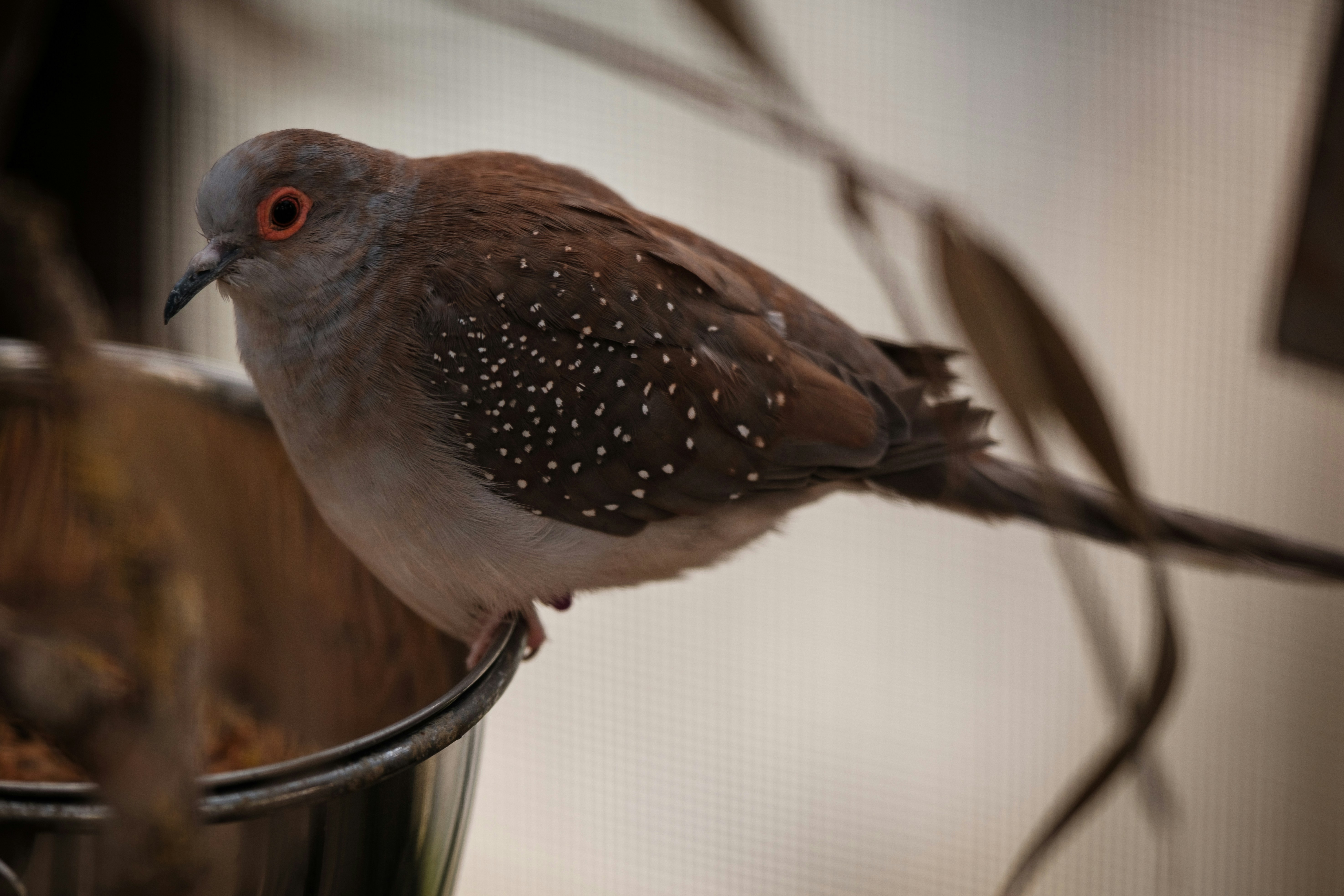 Photo by haberdoedas2