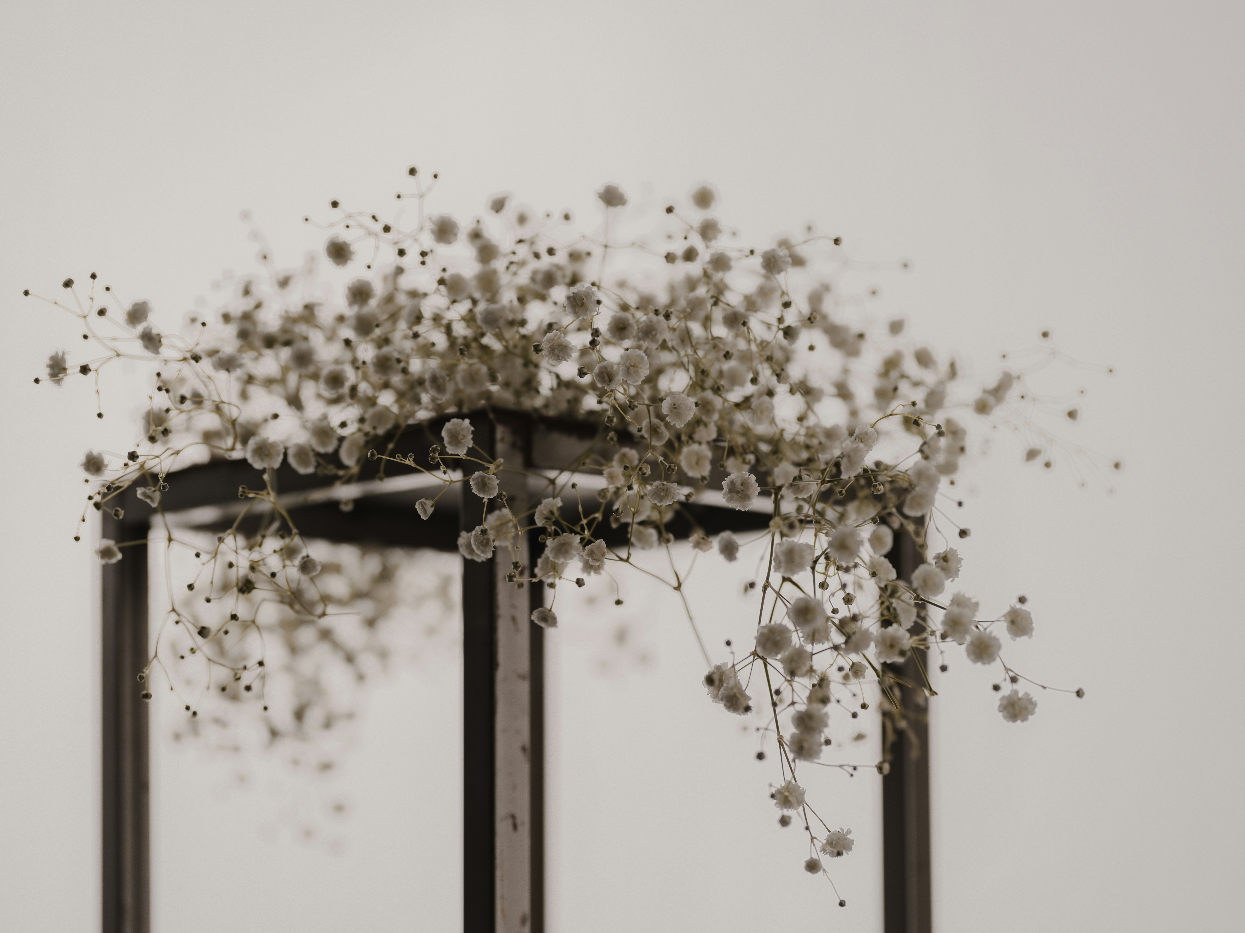 un bouquet de fleurs qui sont sur un poteau