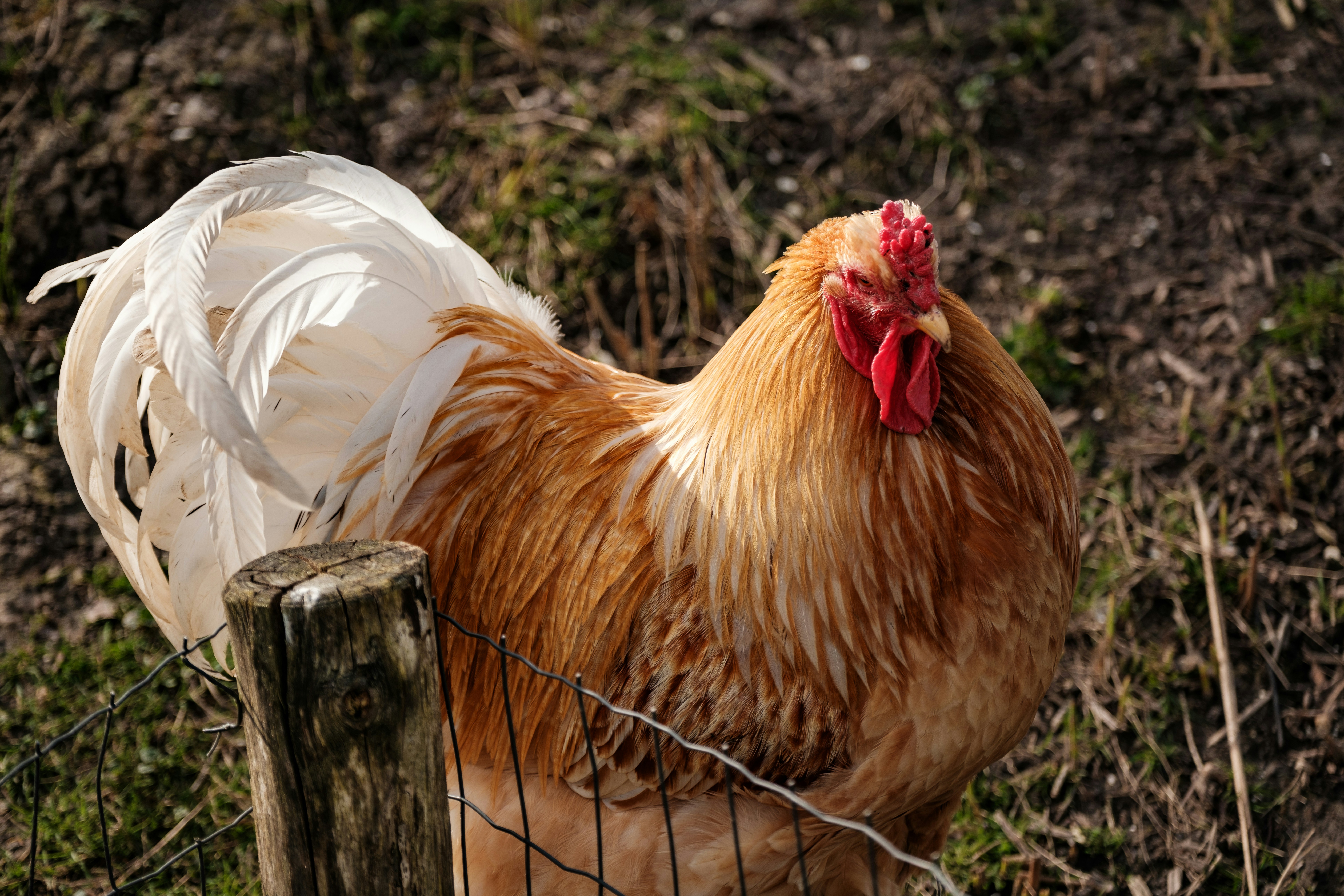 Photo by haberdoedas2