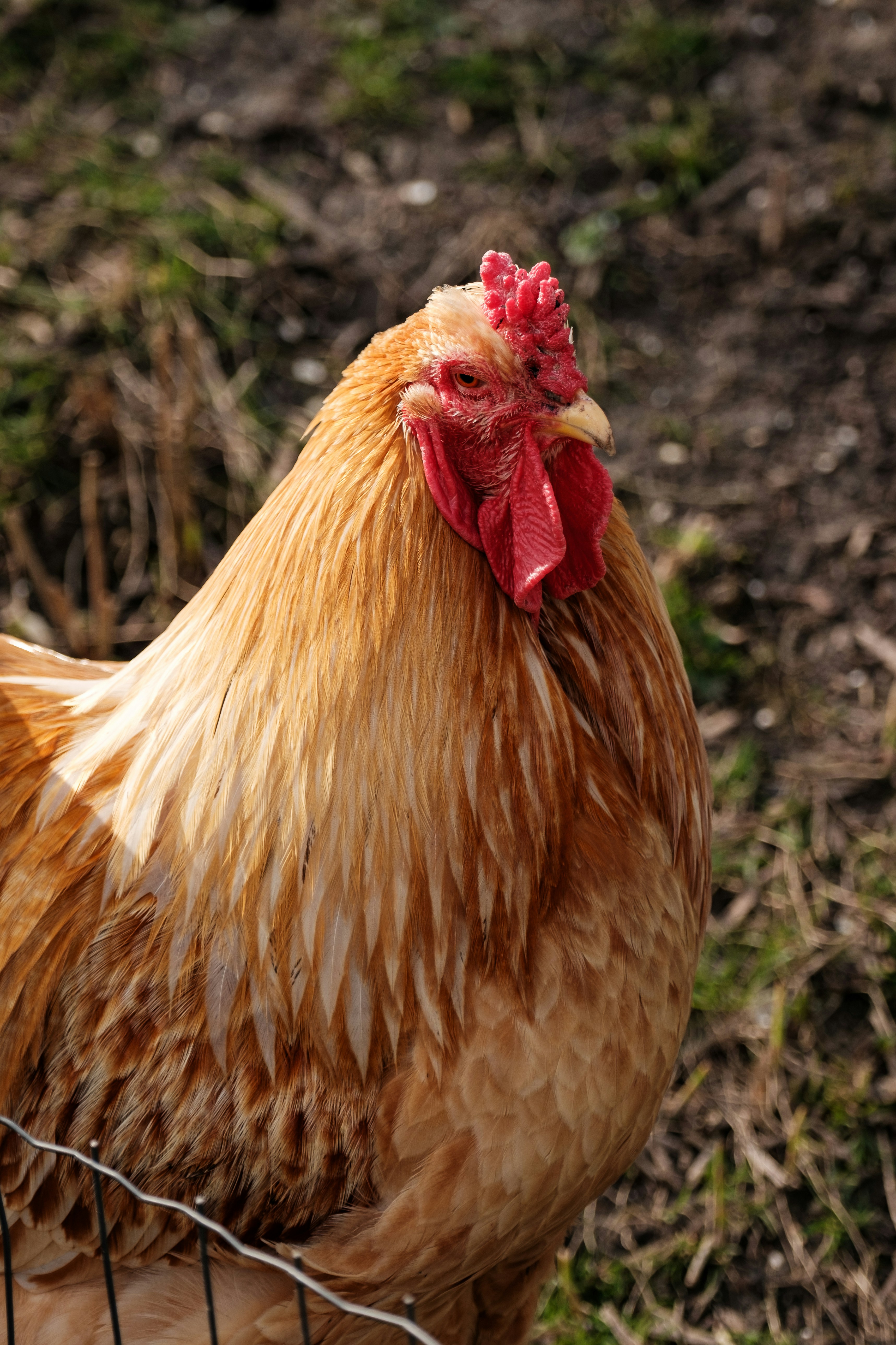 Photo by haberdoedas2