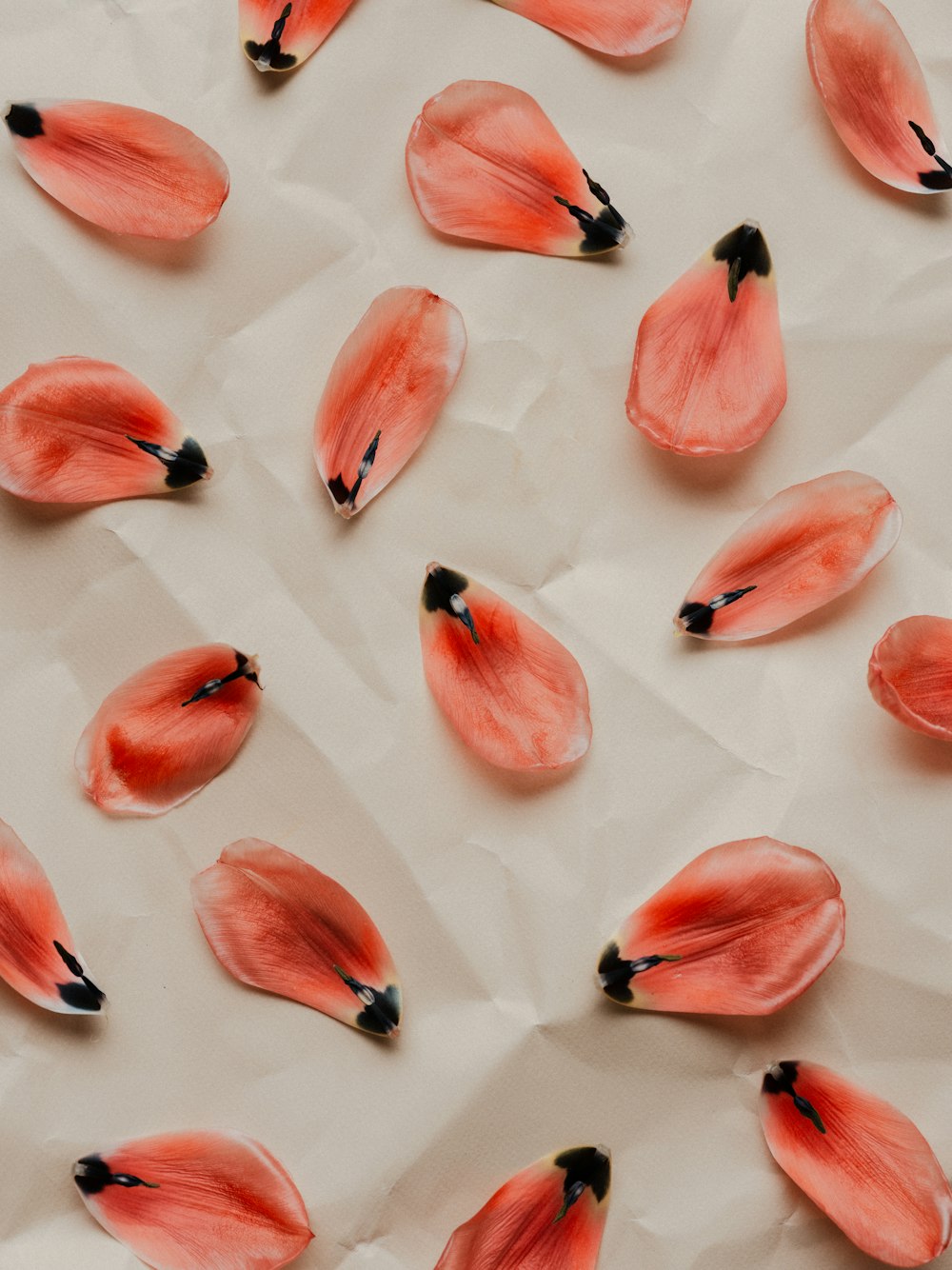 a bunch of red flowers laying on top of a white sheet of paper