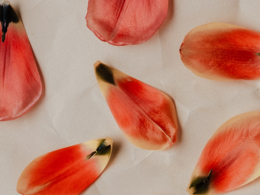 a group of red flowers sitting on top of a table