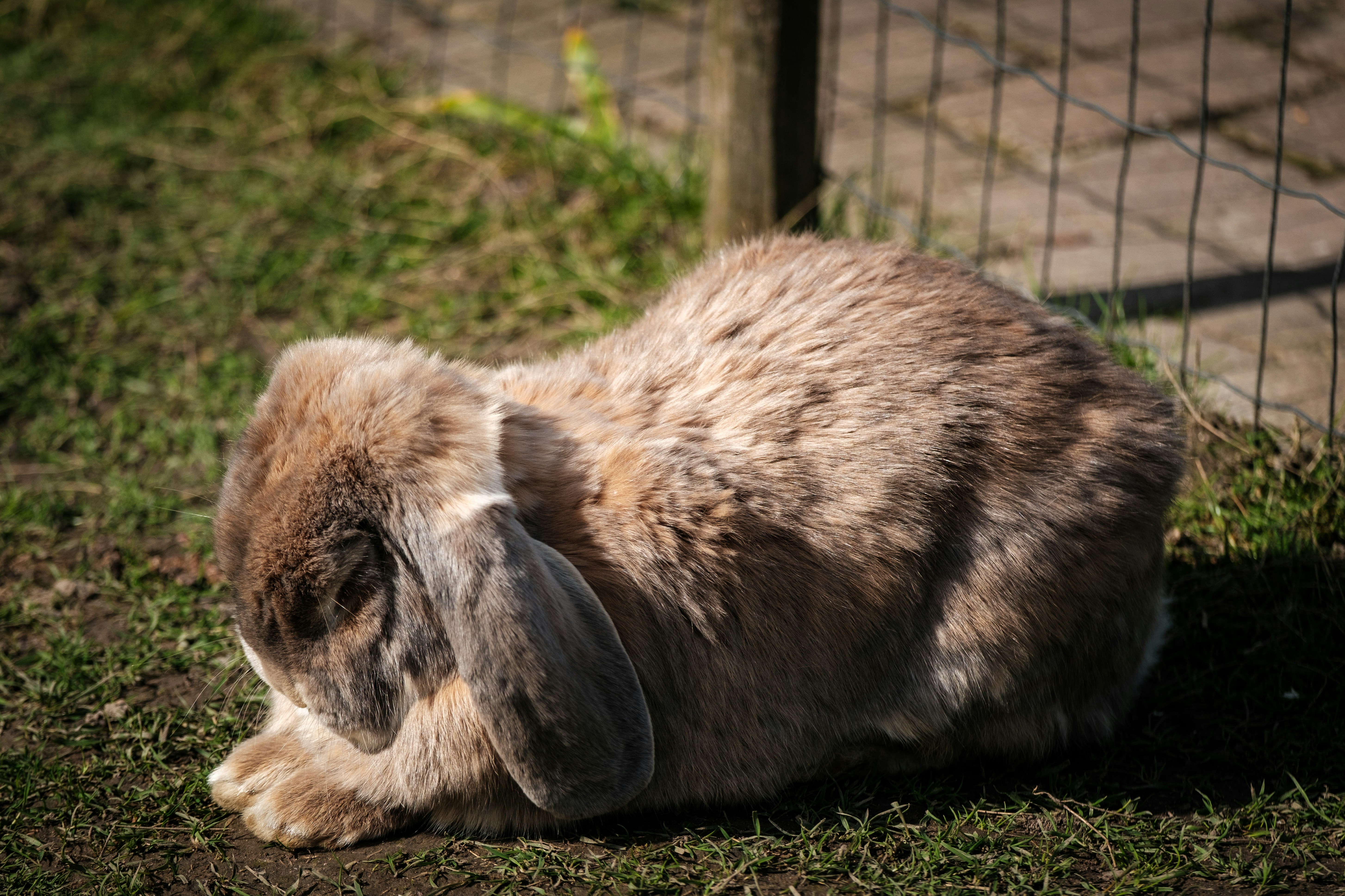 Photo by haberdoedas2