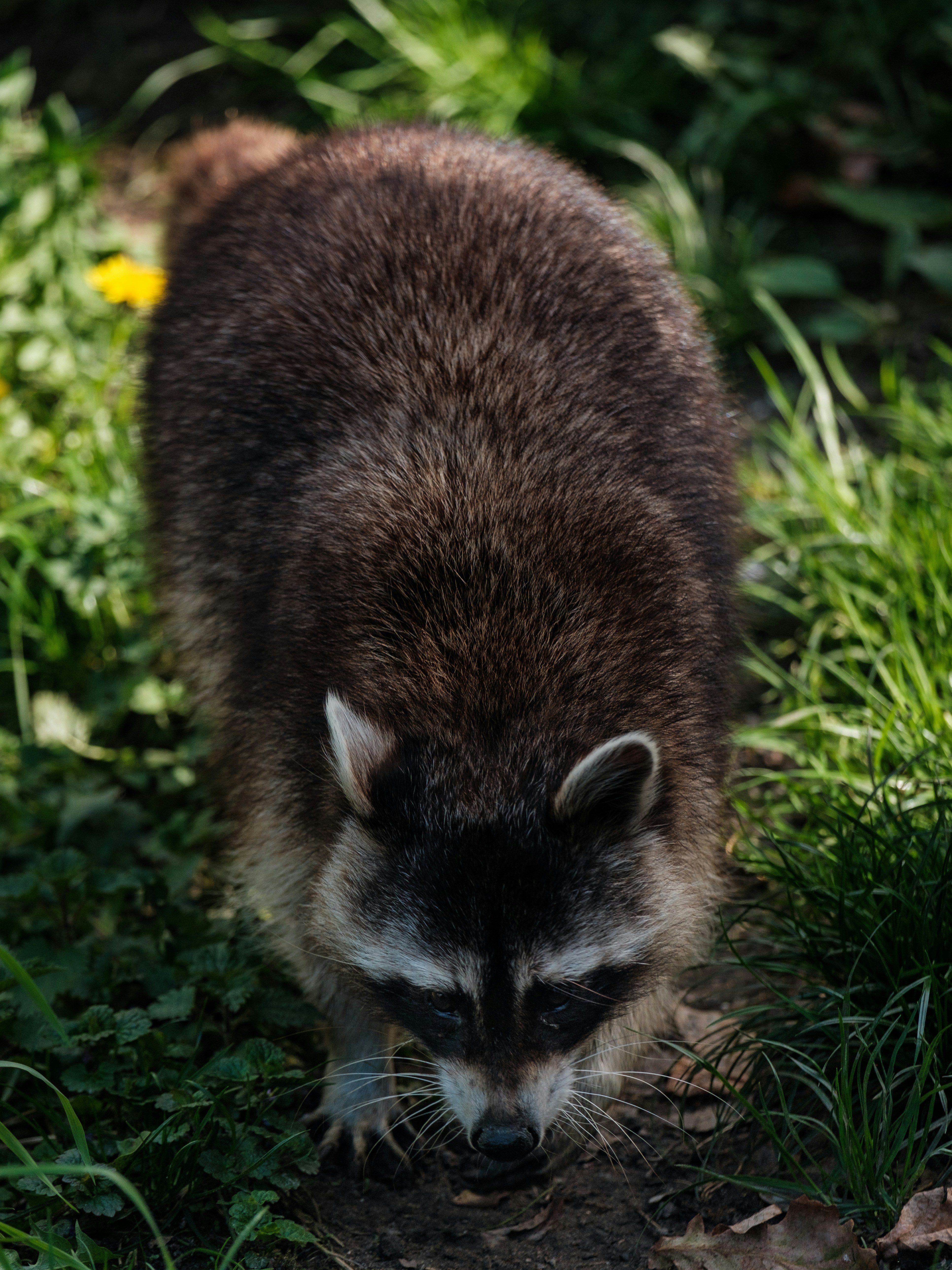 Photo by haberdoedas2