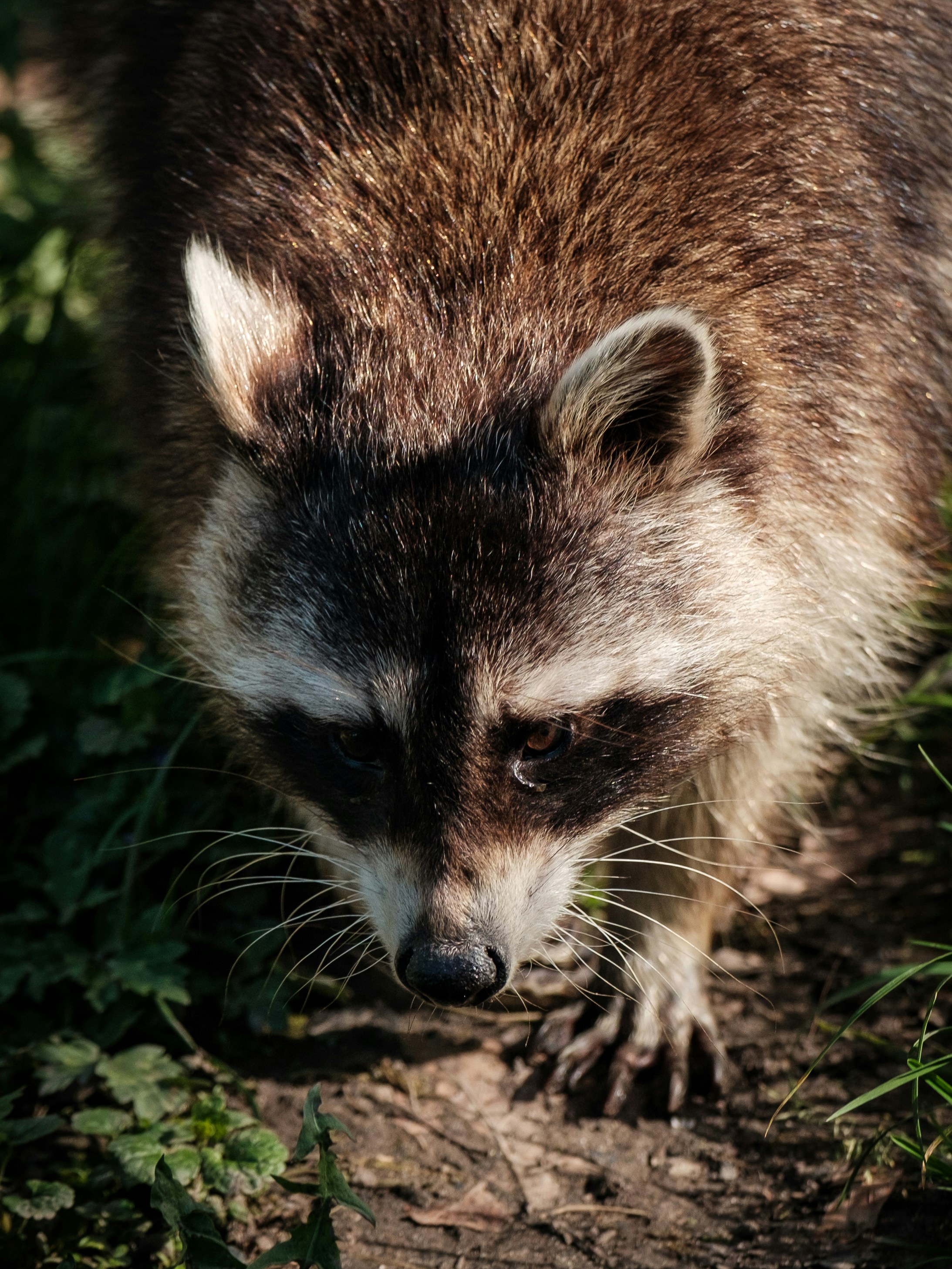 Photo by haberdoedas2