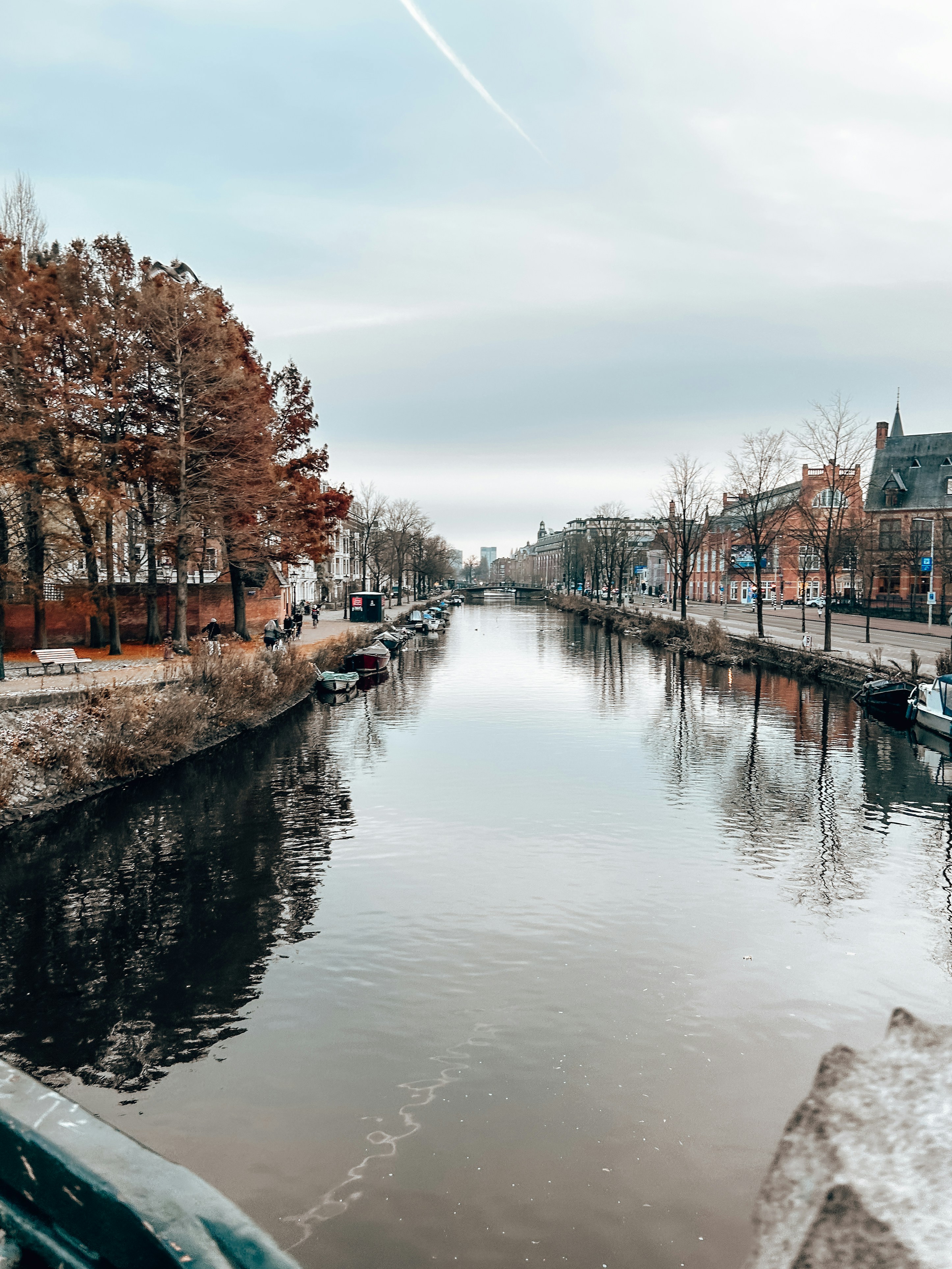 Photo by janilson_oficial