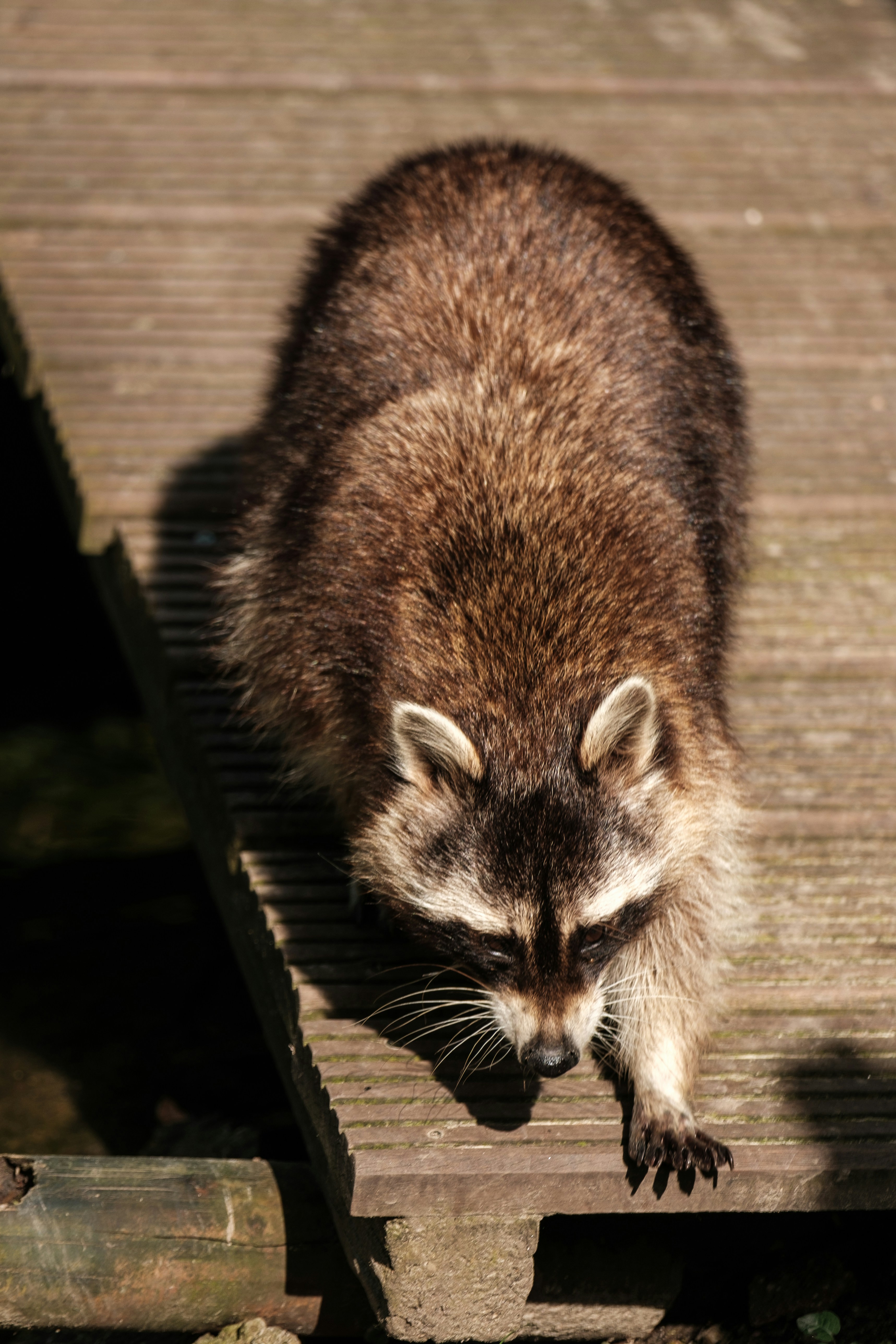 Photo by haberdoedas2