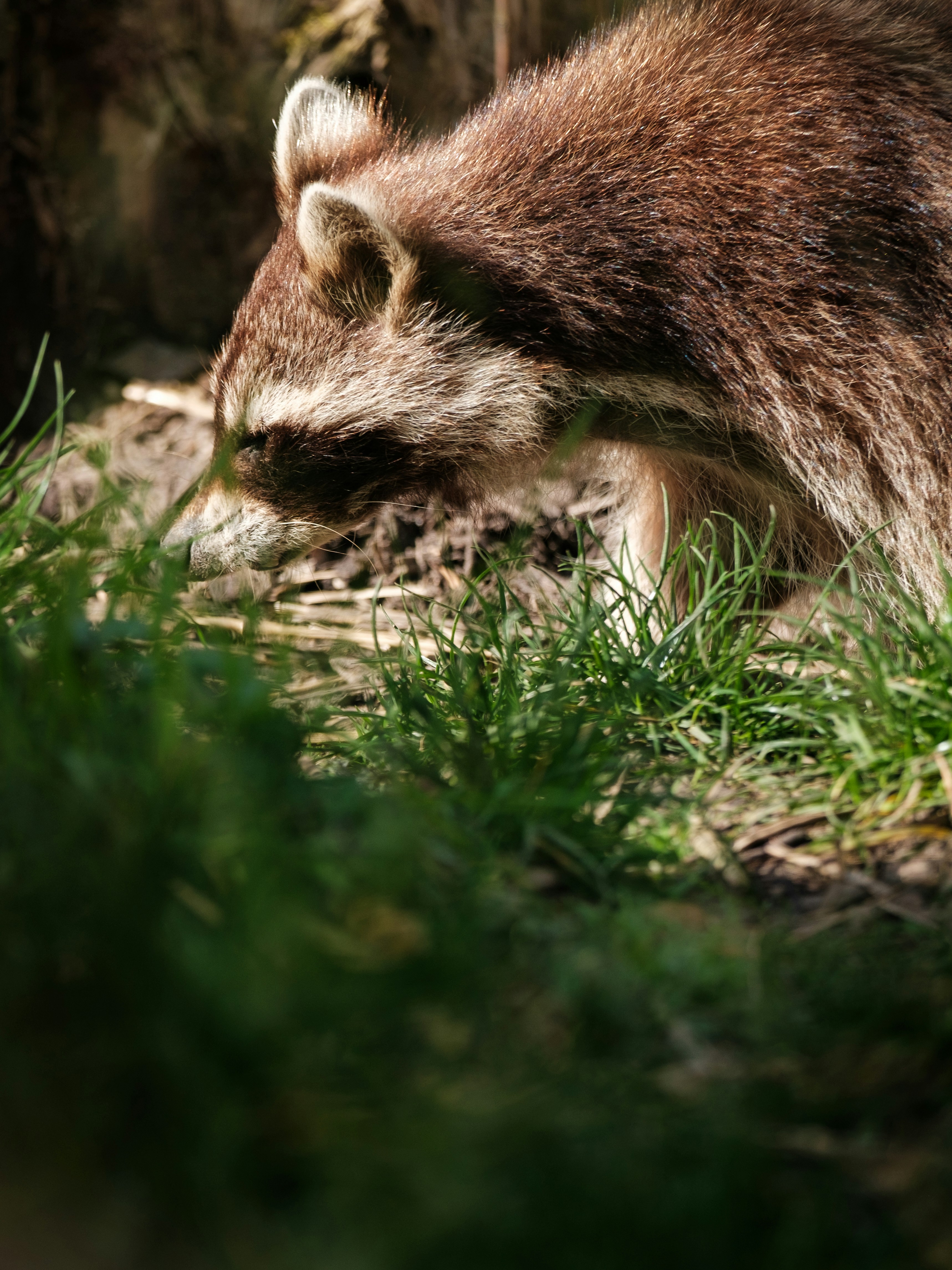 Photo by haberdoedas2