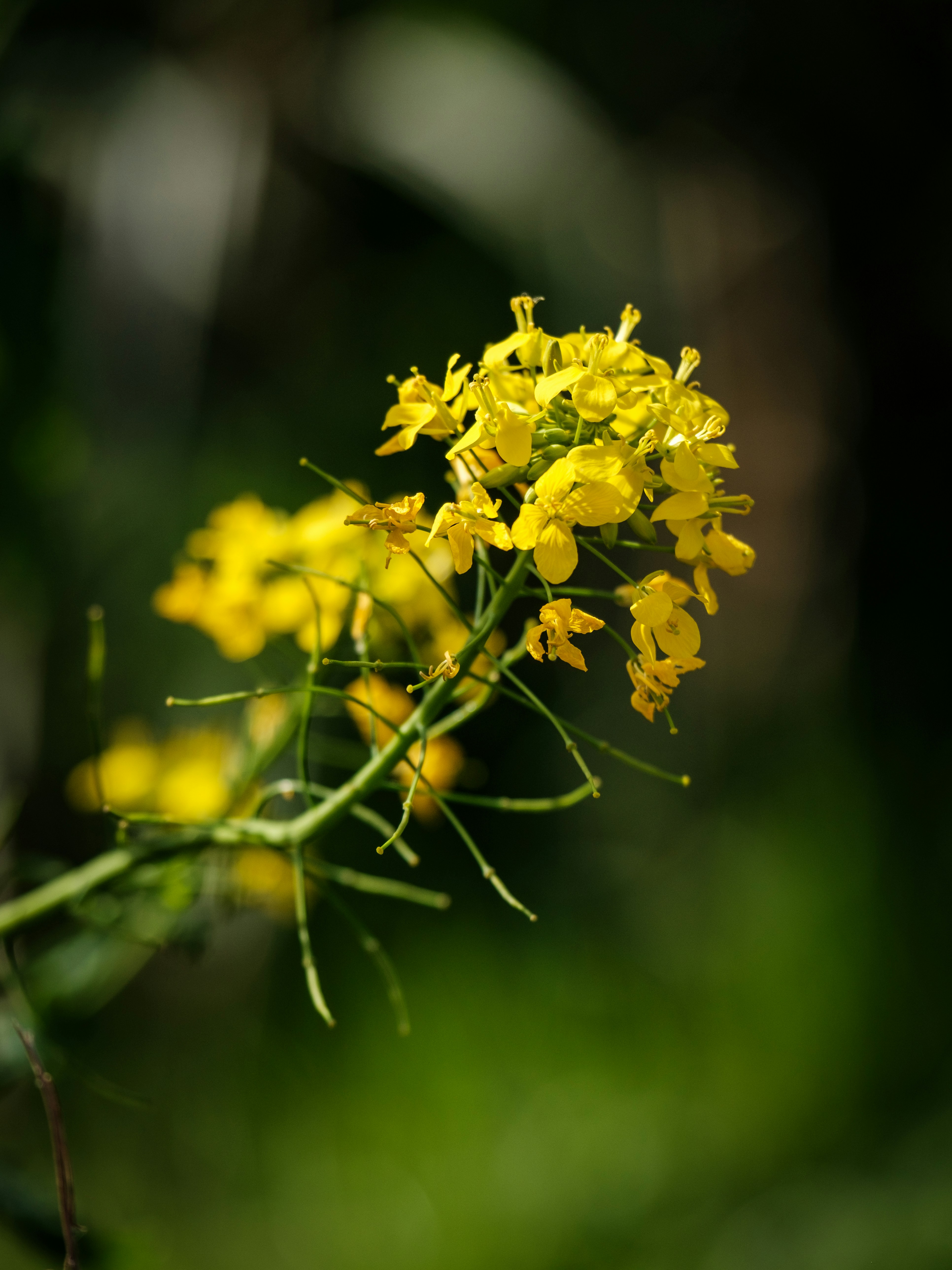 Photo by haberdoedas2