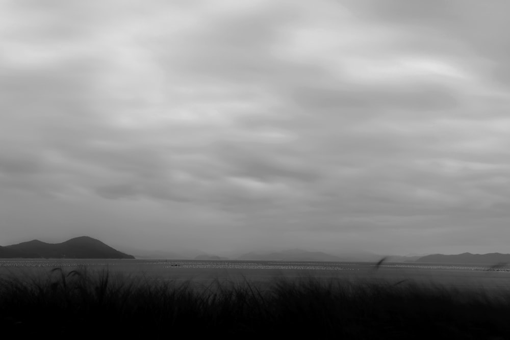 a black and white photo of a field with mountains in the background