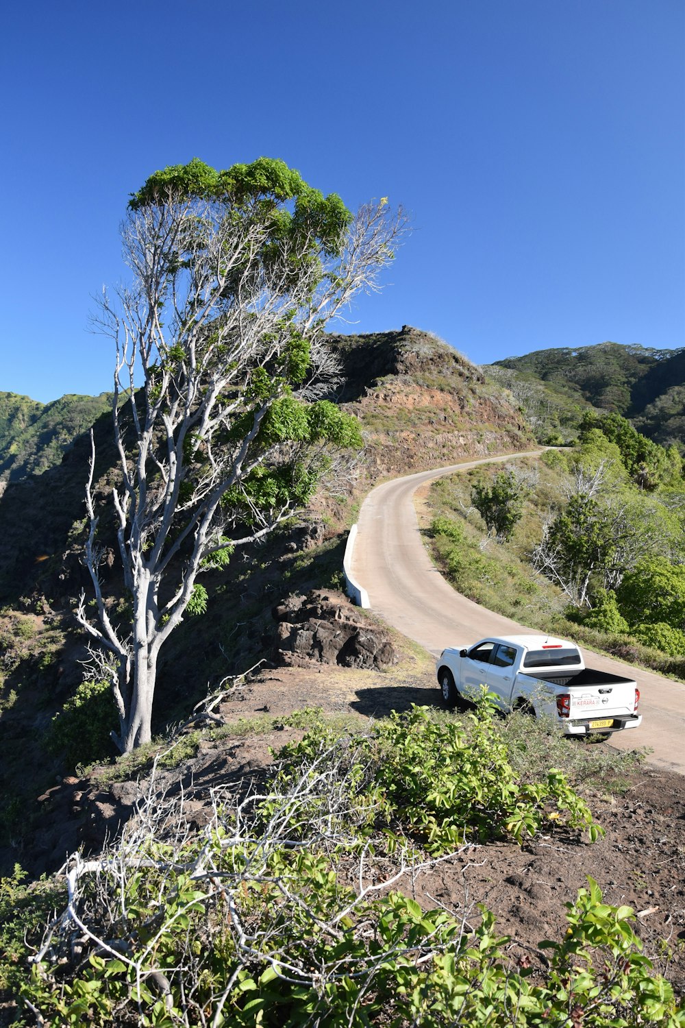 um caminhão branco estacionado na beira de uma estrada