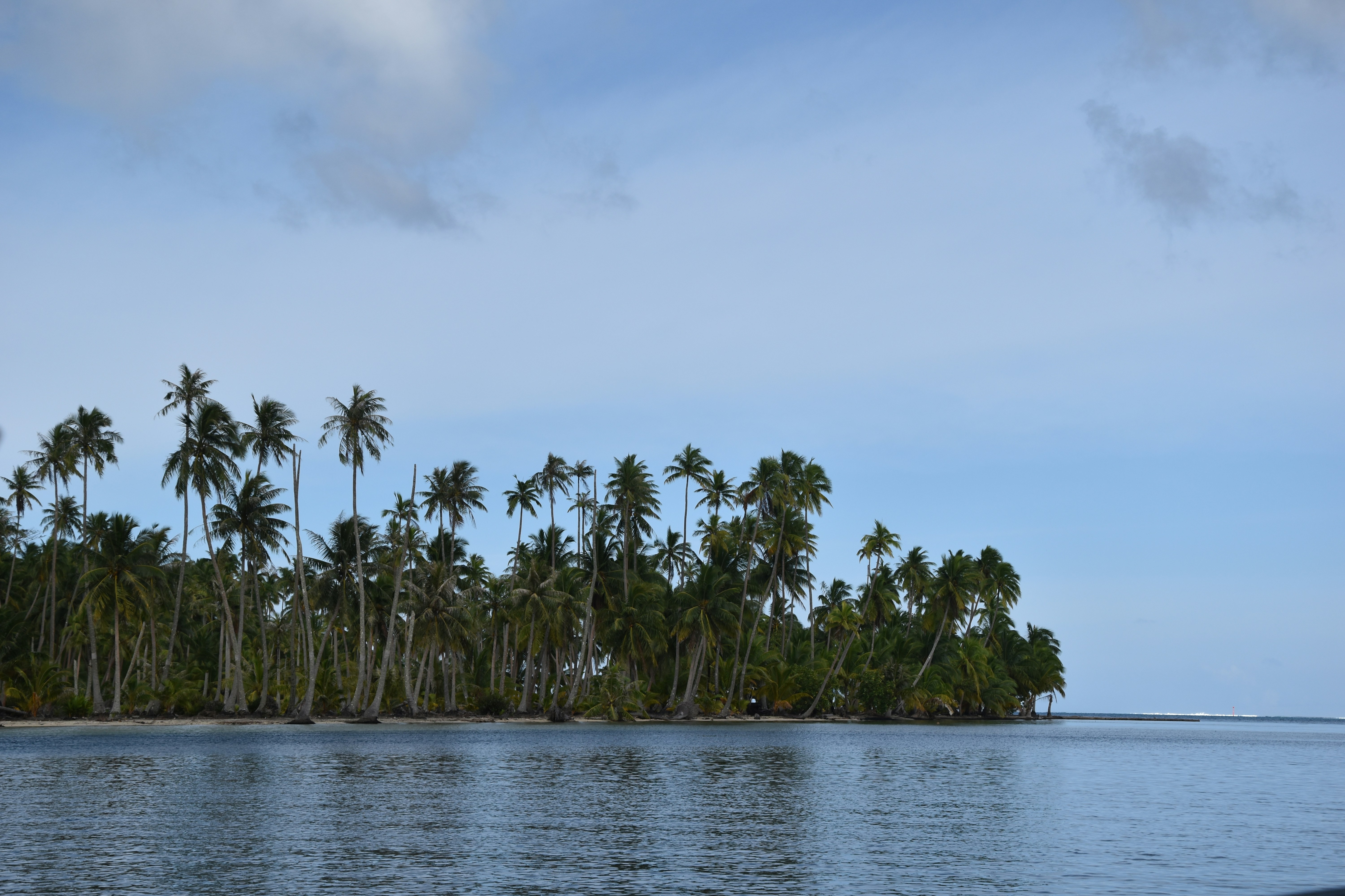 When the Kingdom Knows You Better Than You Know Yourself: Identity, Ancestry, and the First Trip to Tonga