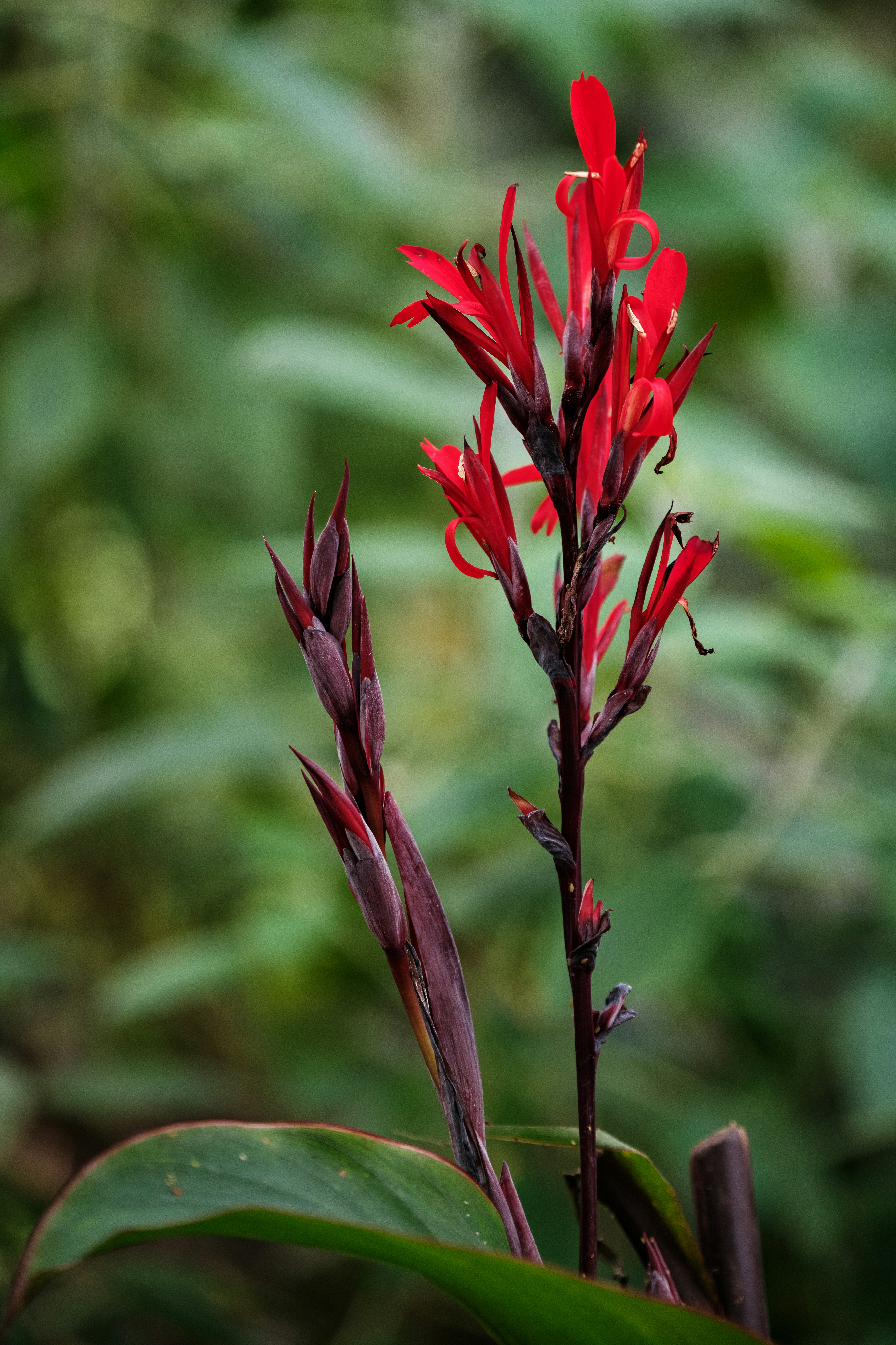 Photo by haberdoedas2