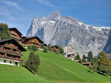 a group of buildings sitting on top of a lush green hillside