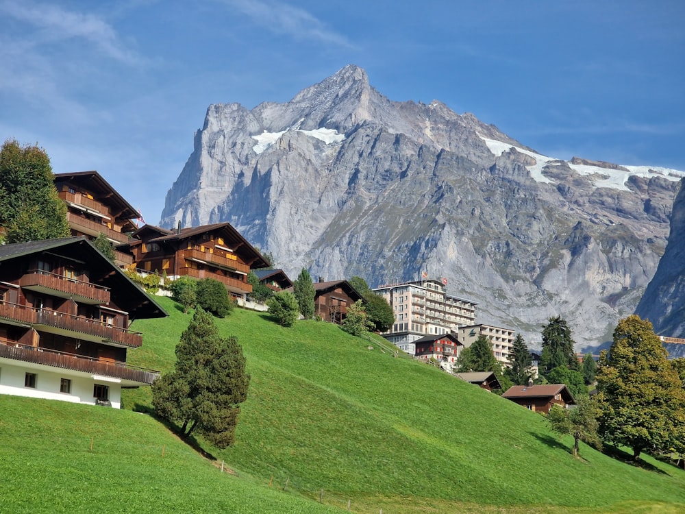 a group of buildings sitting on top of a lush green hillside