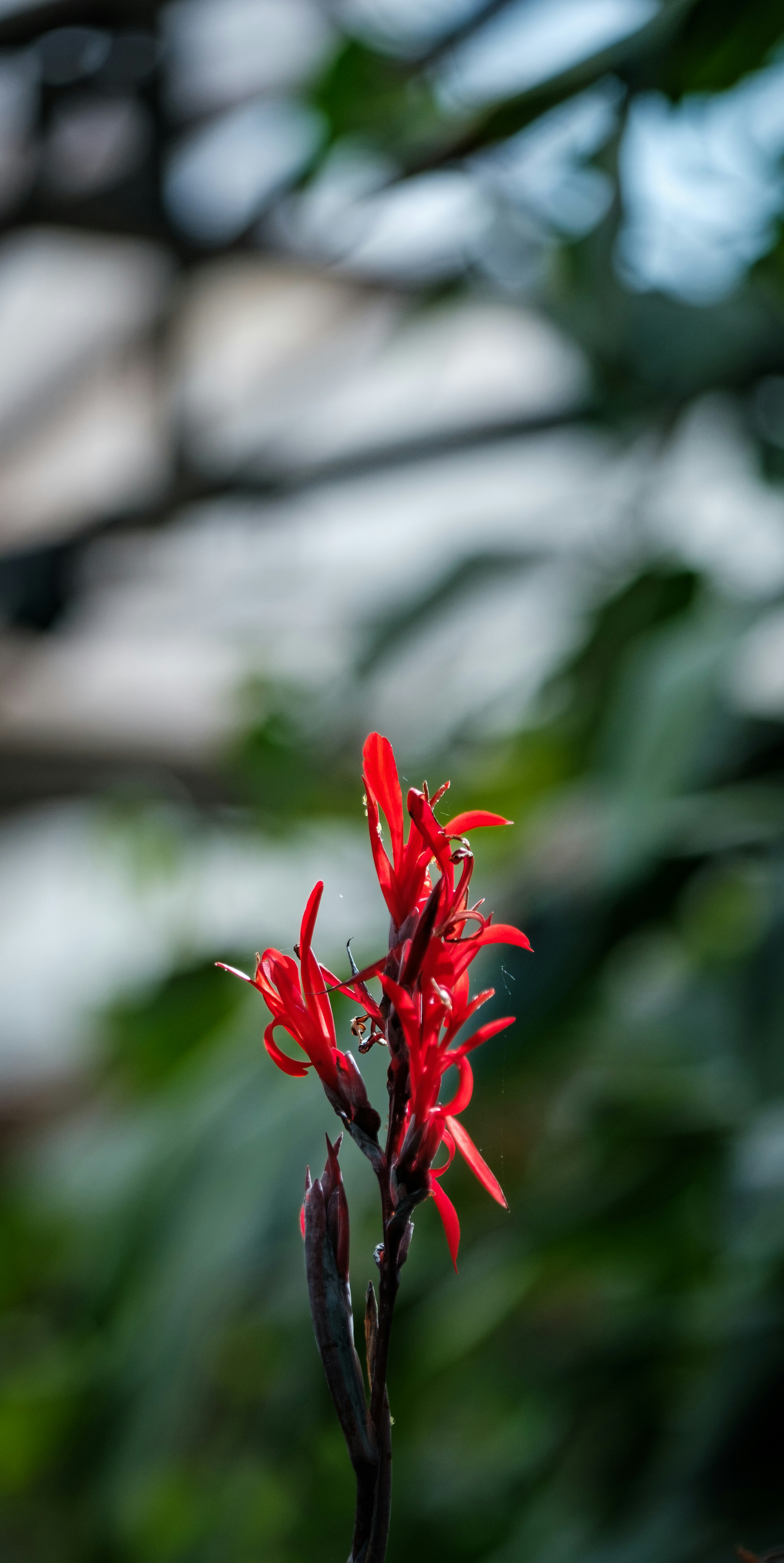 Photo by haberdoedas2