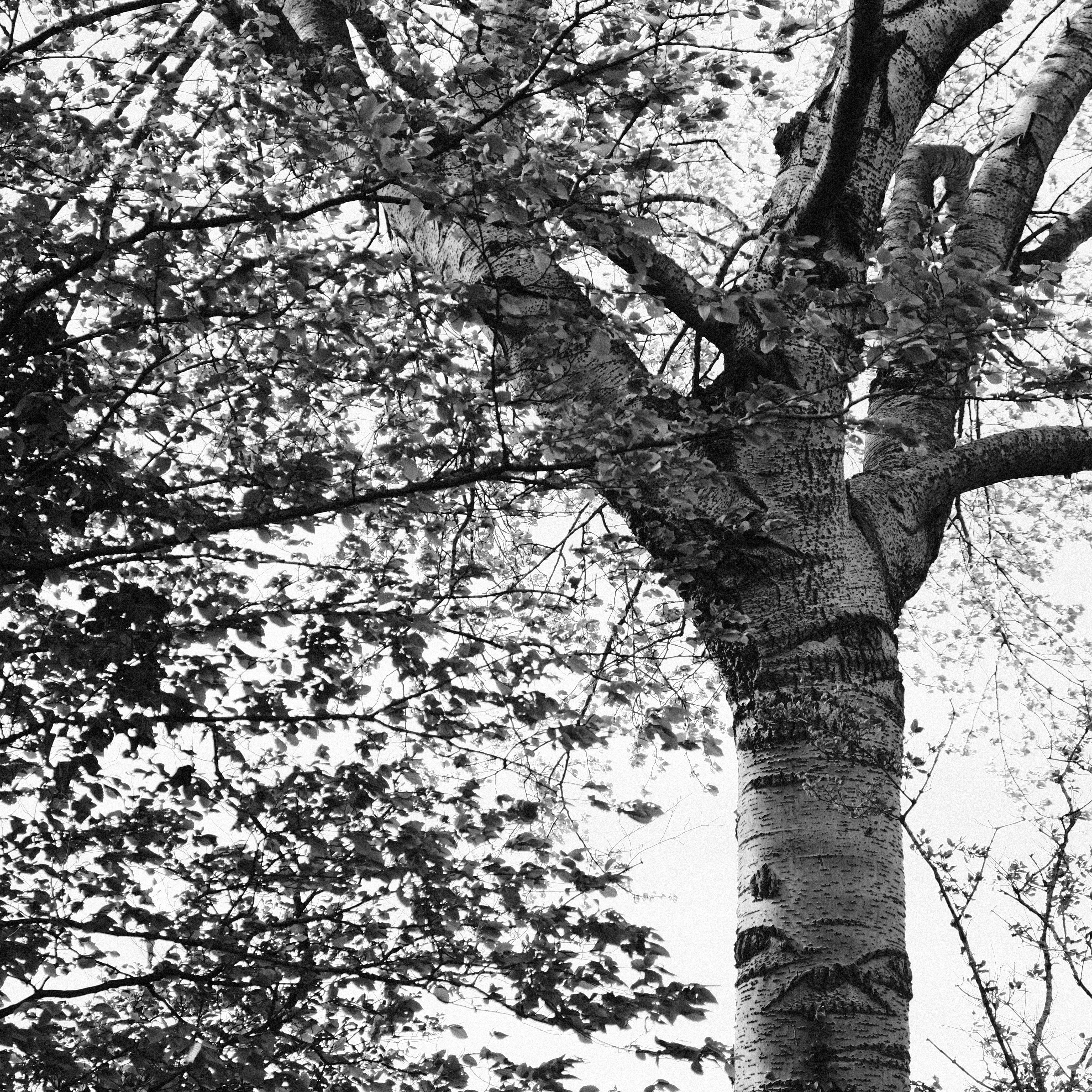 Photo by kyantijhuis