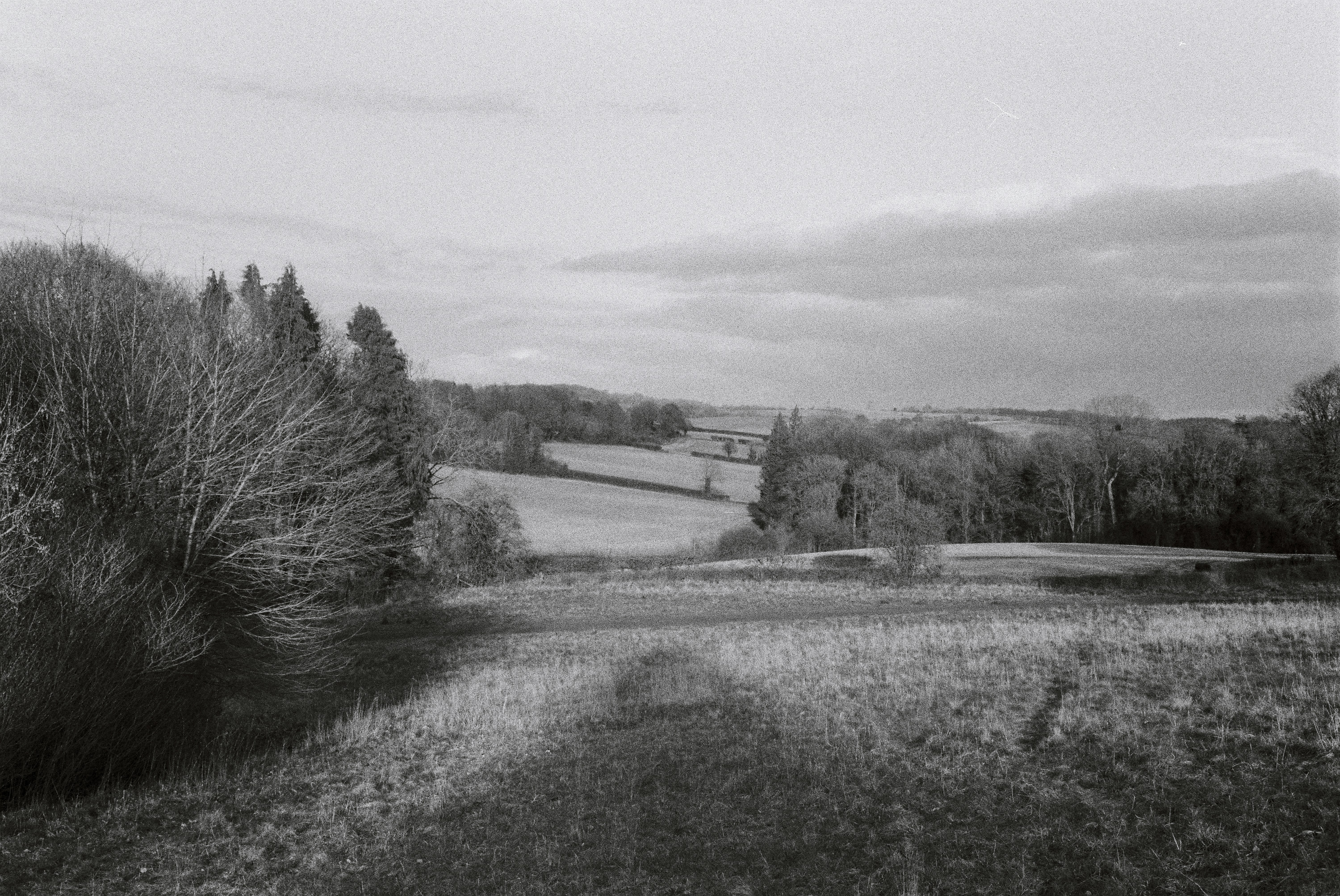 Vatterott Fields