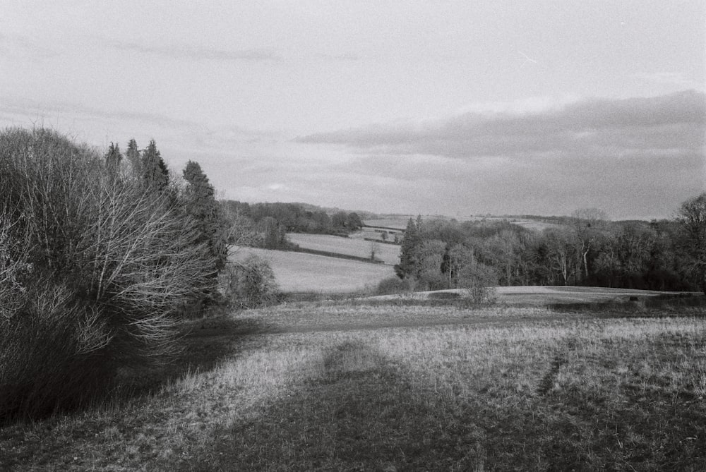 a black and white photo of a field and trees