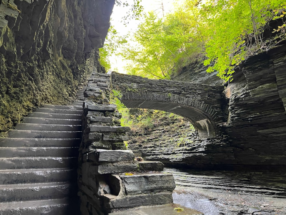 uma ponte de pedra sobre um pequeno riacho em uma floresta