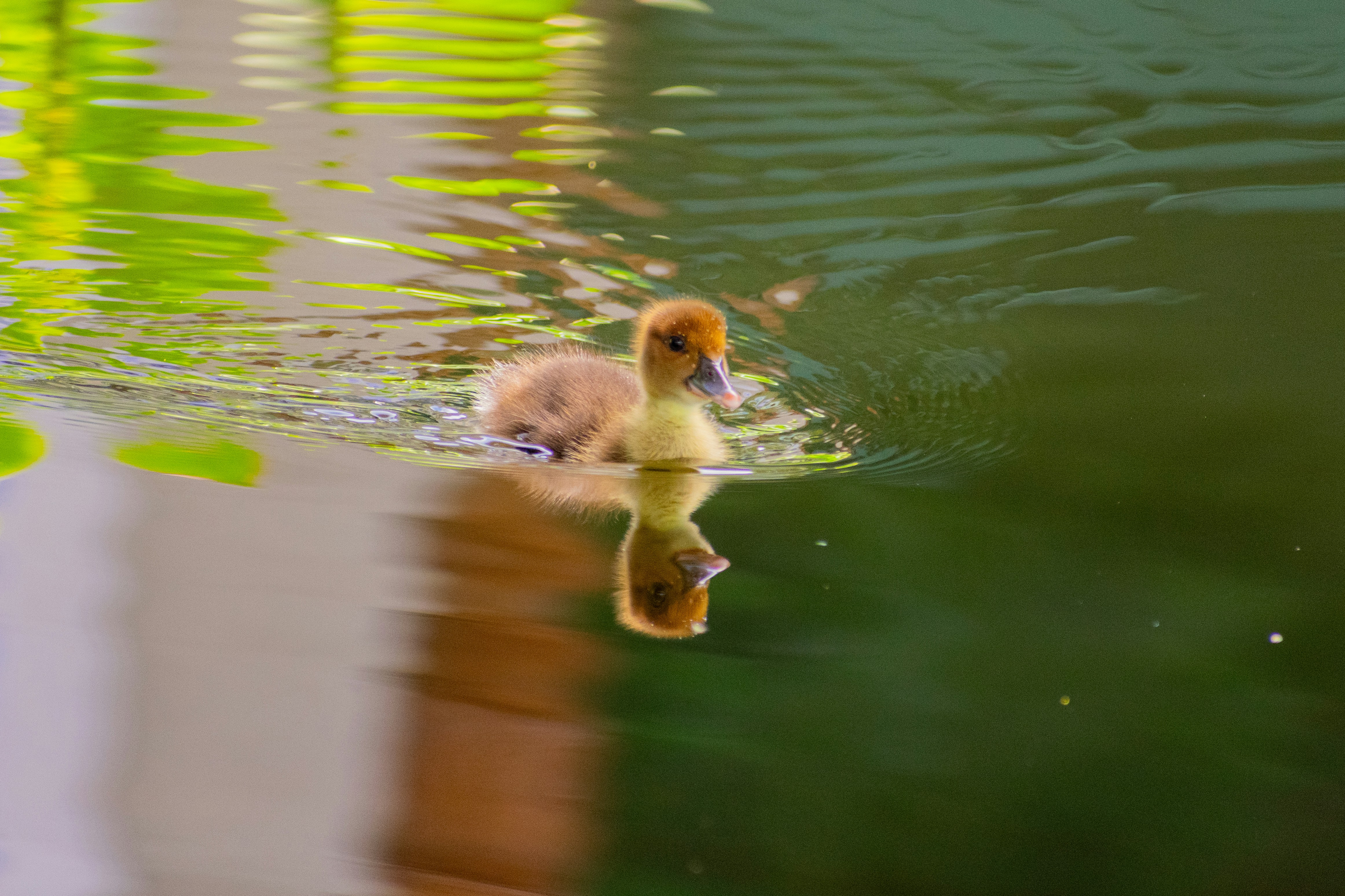 Photo by probablyrobin