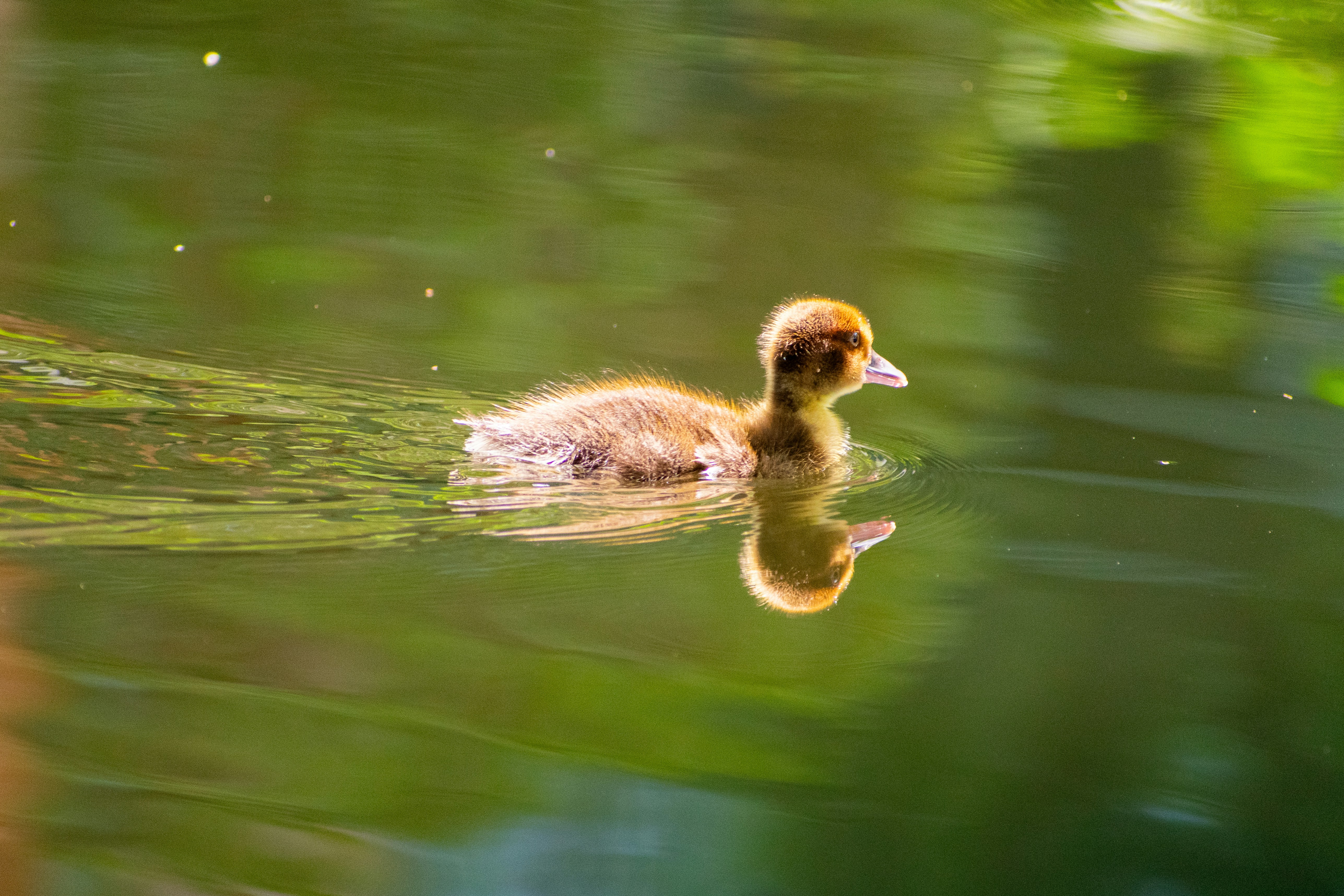 Photo by probablyrobin