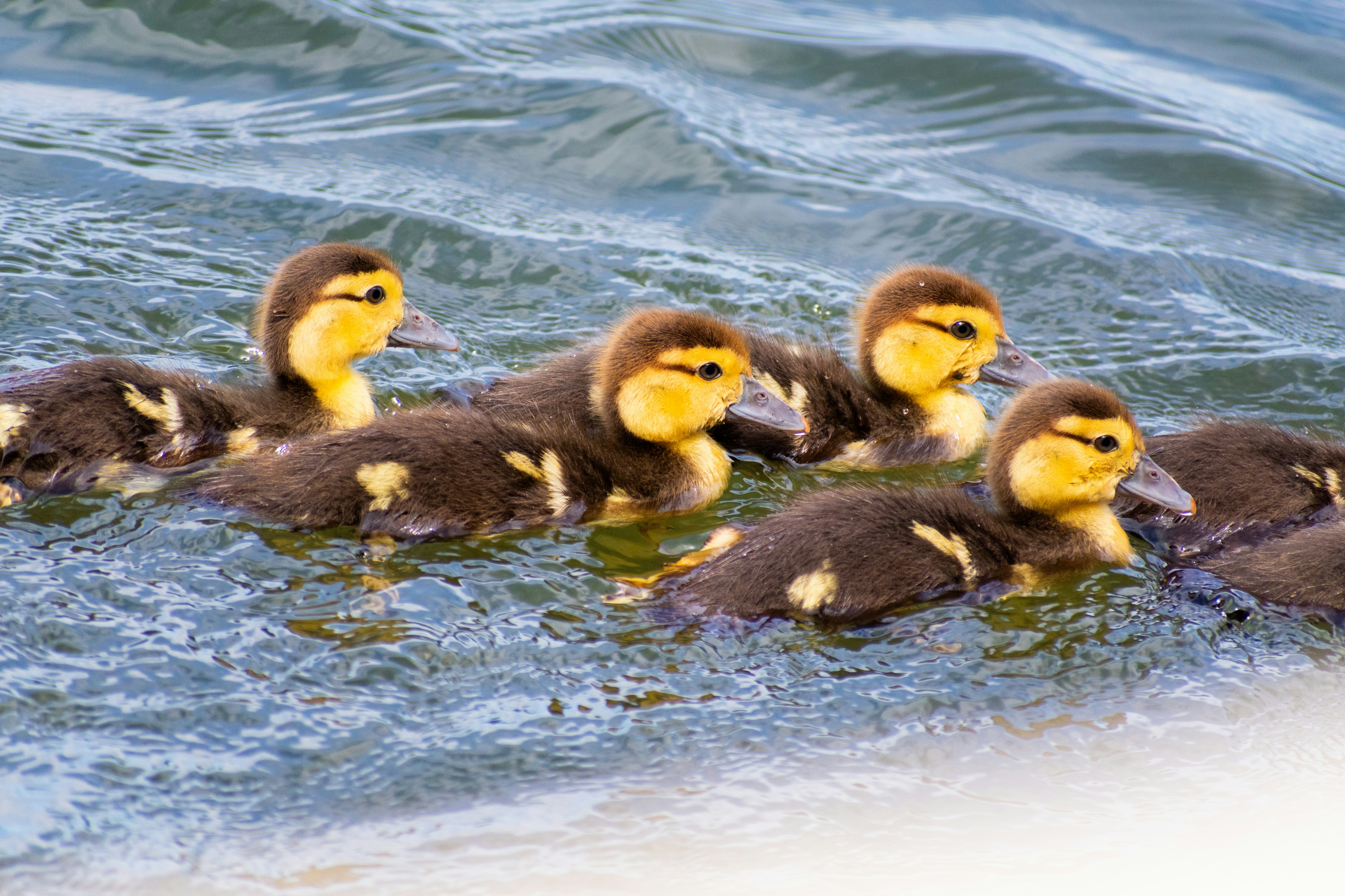 Photo by probablyrobin