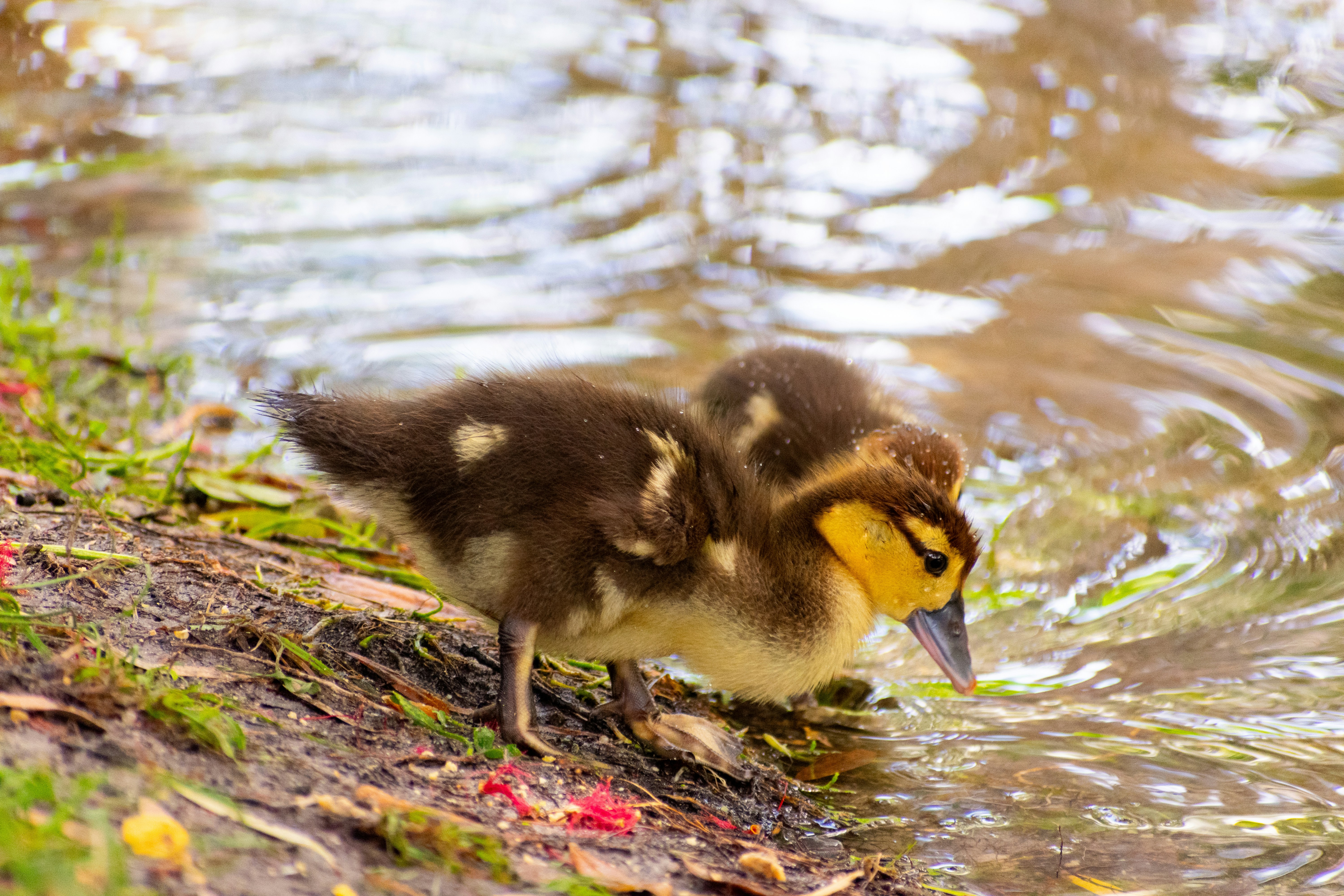 Photo by probablyrobin