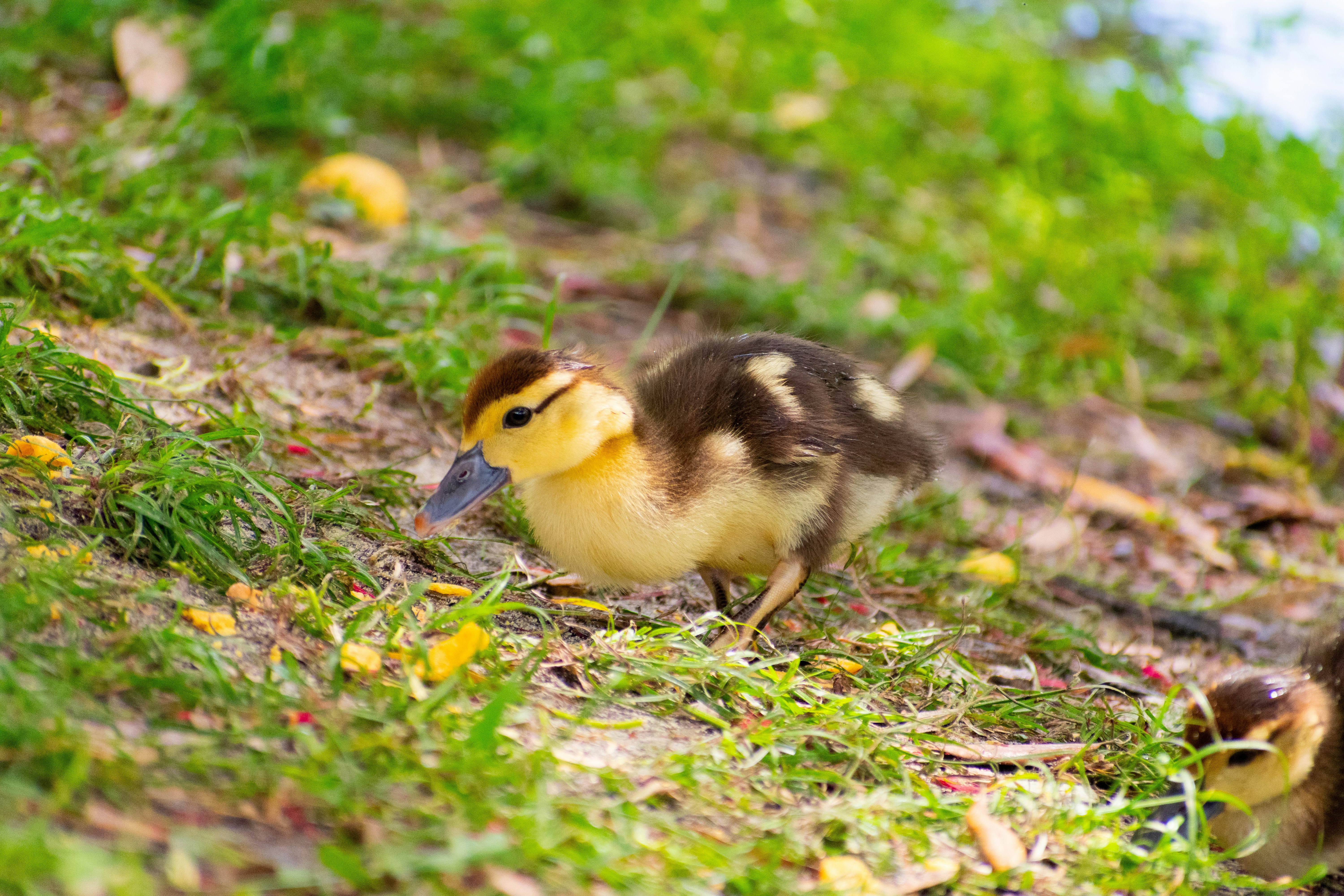 Photo by probablyrobin