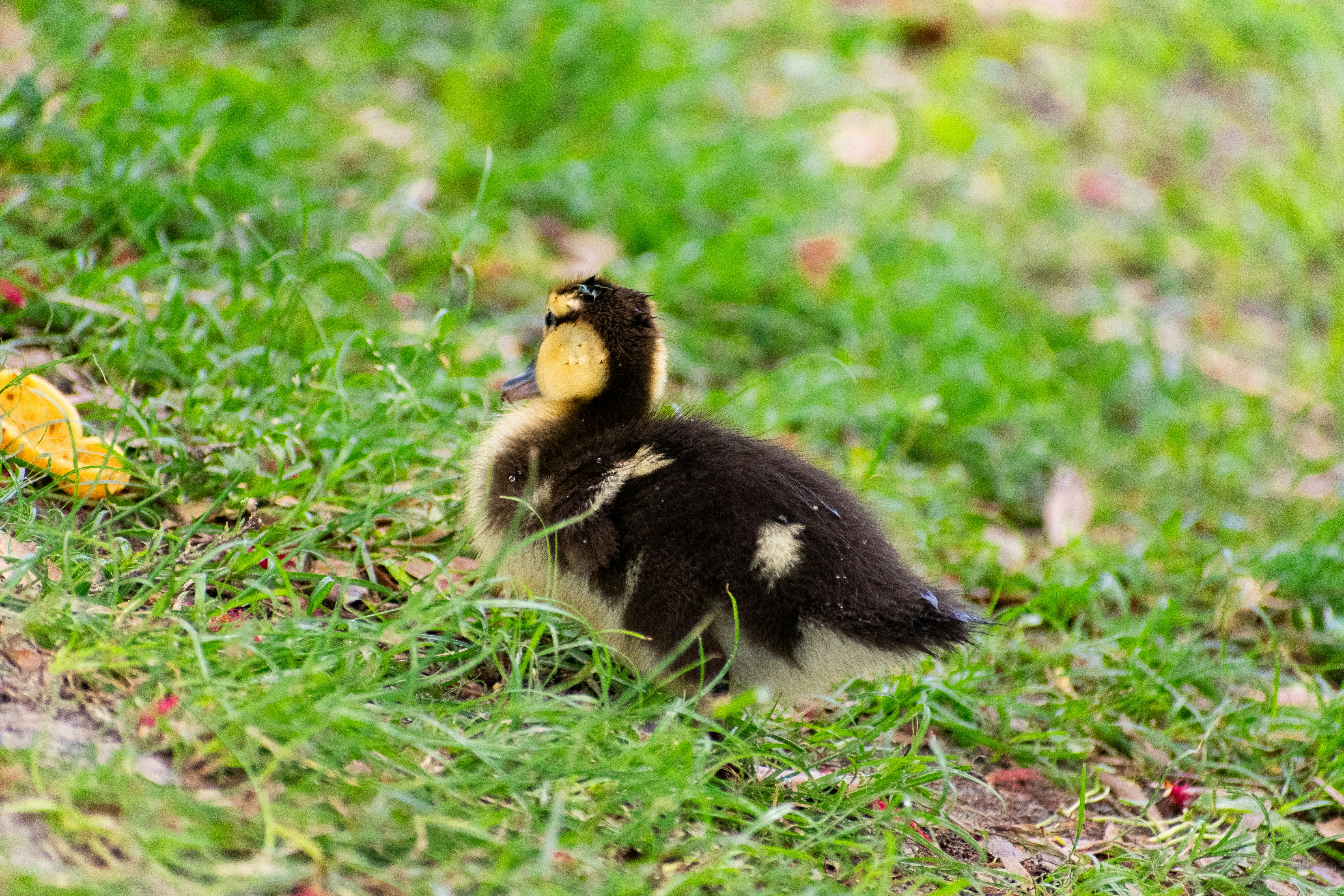 Photo by probablyrobin