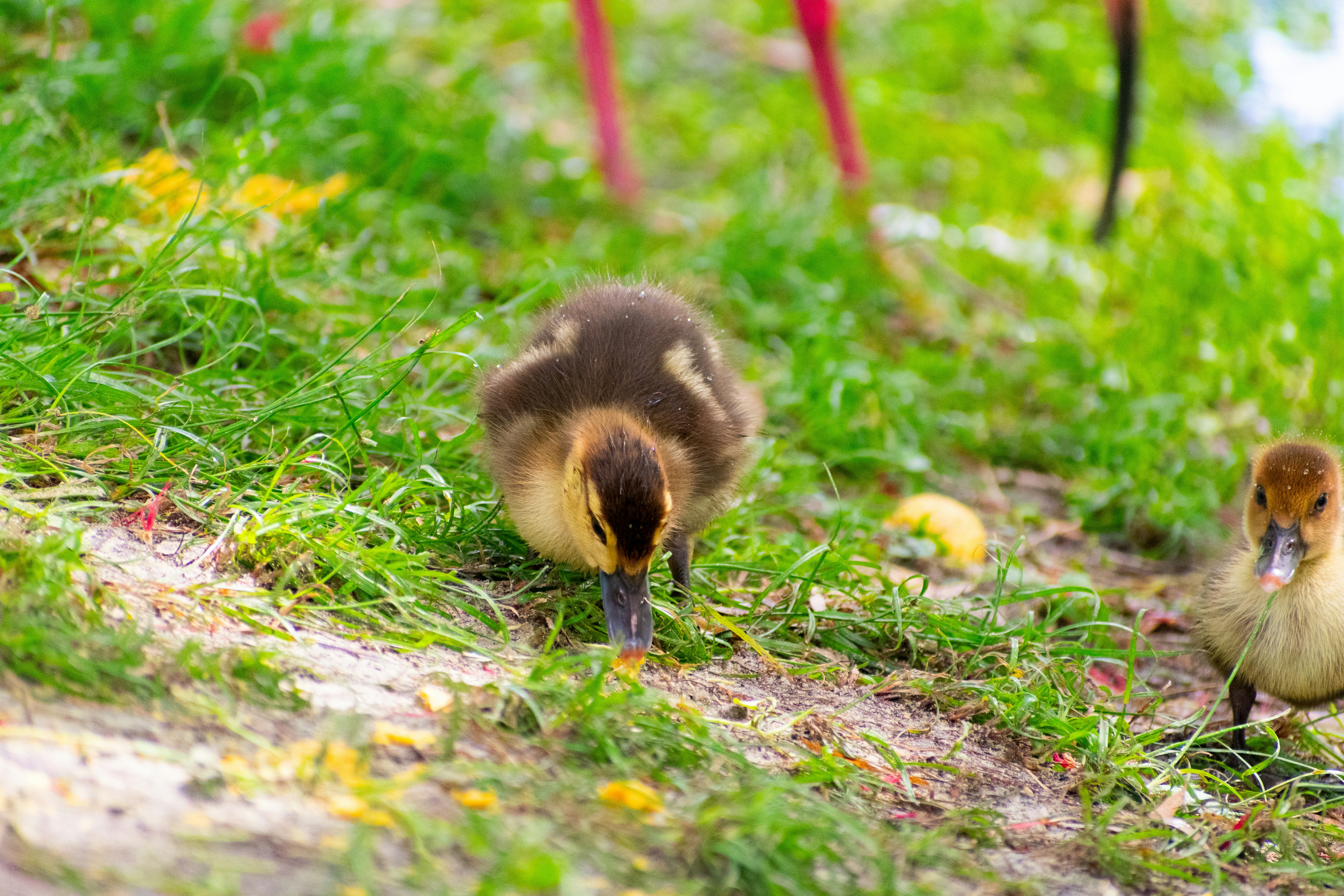 Photo by probablyrobin