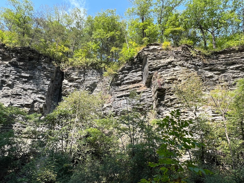 a rocky cliff with trees growing on top of it